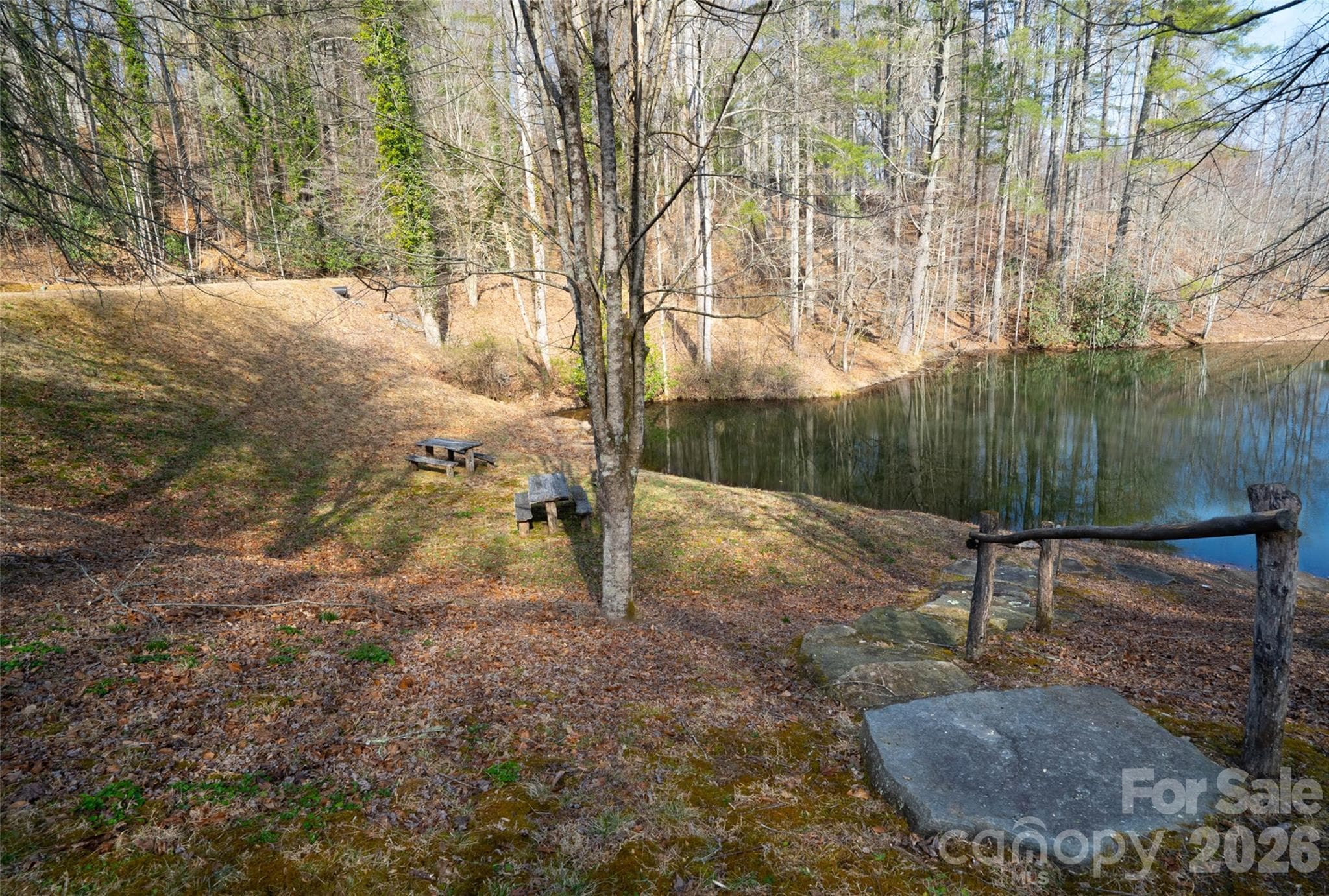 Lot at Pisgah Forest, photo 14 of 16