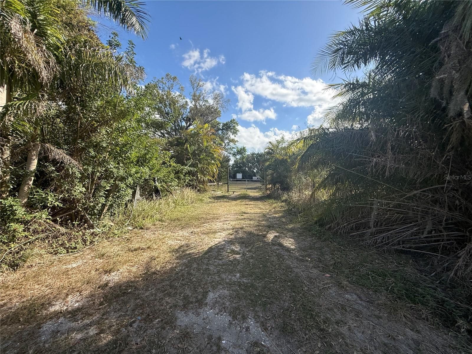 Land at 11959 MOCCASIN WALLOW RD, PARRISH, photo 4 of 12