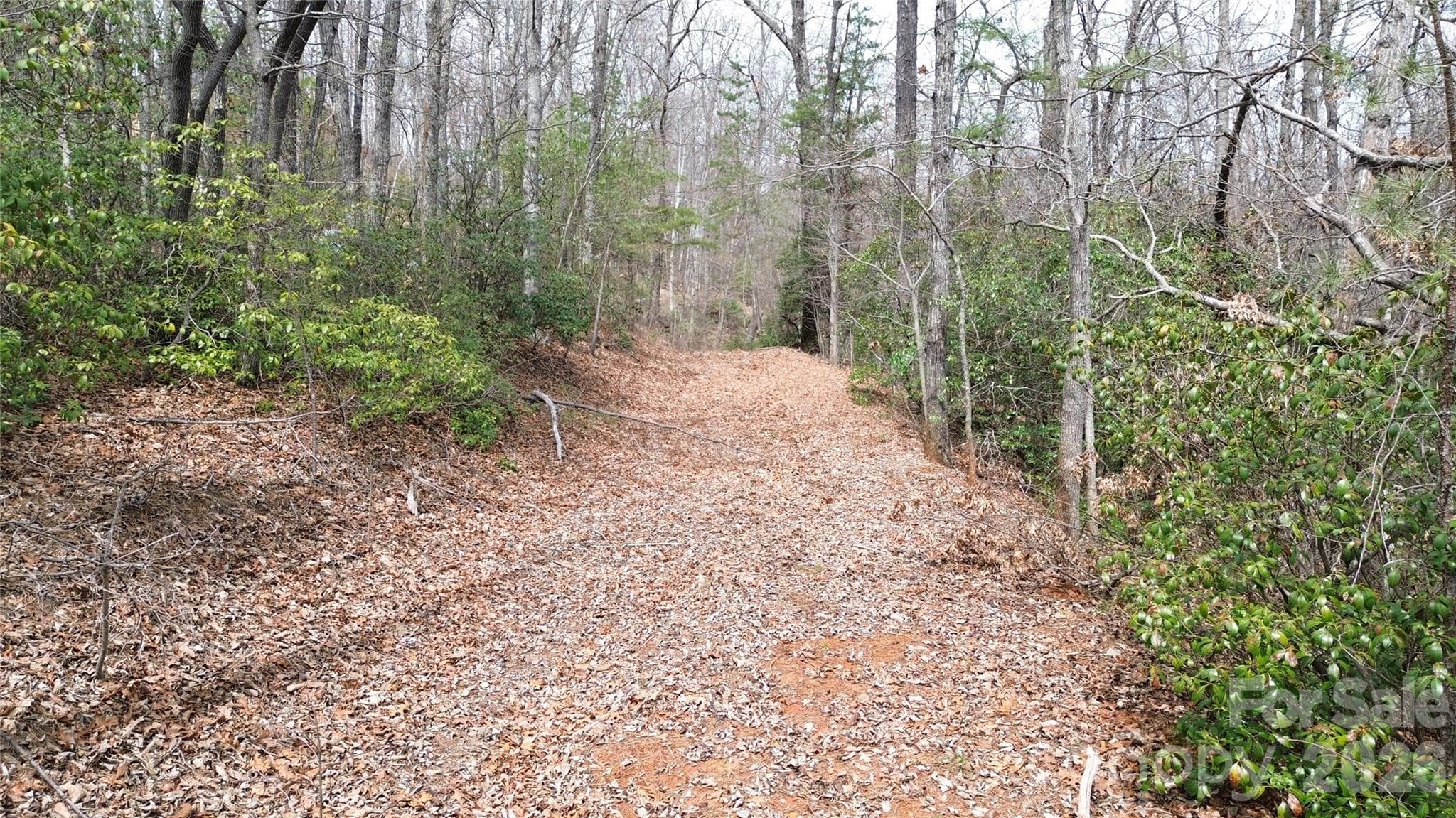 Lot at Old Fort, photo 5 of 6