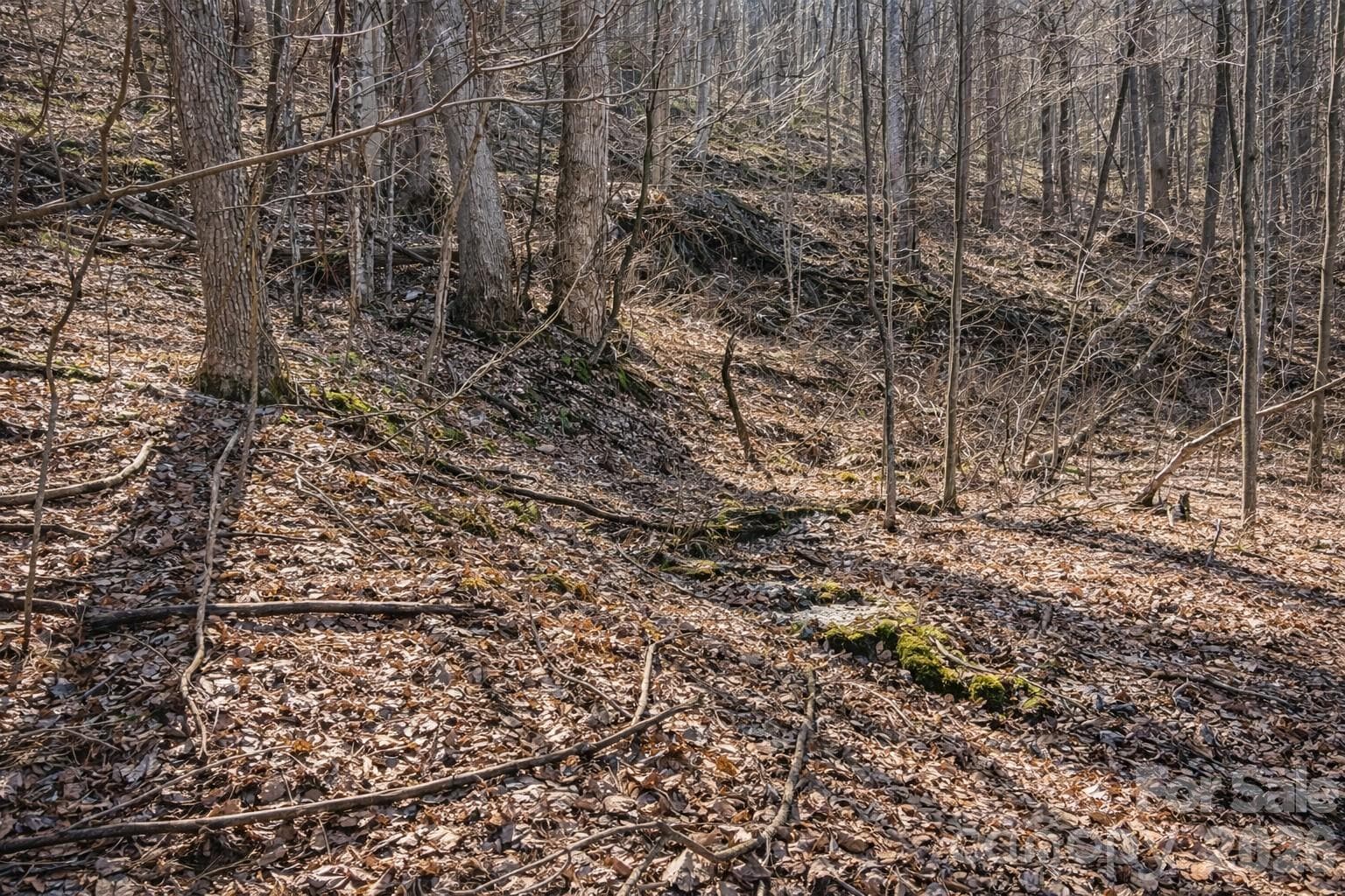 Lot at 4 Buckeye Road, Maggie Valley, photo 3 of 9