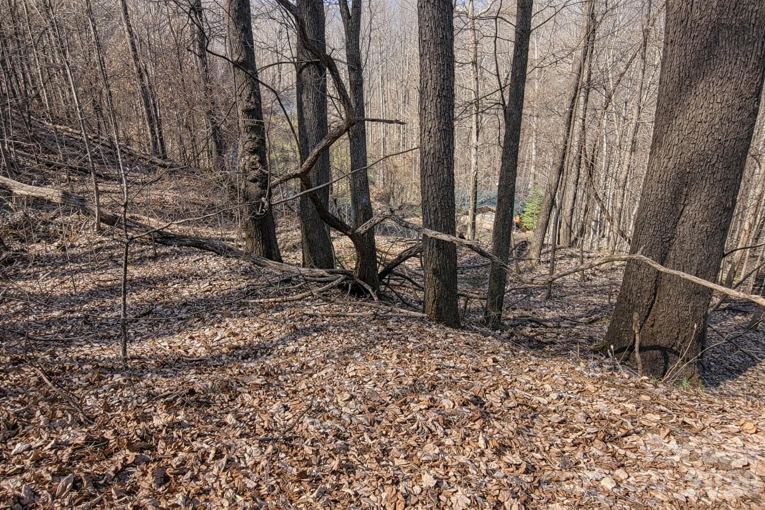 Lot at 4 Buckeye Road, Maggie Valley, photo 4 of 9