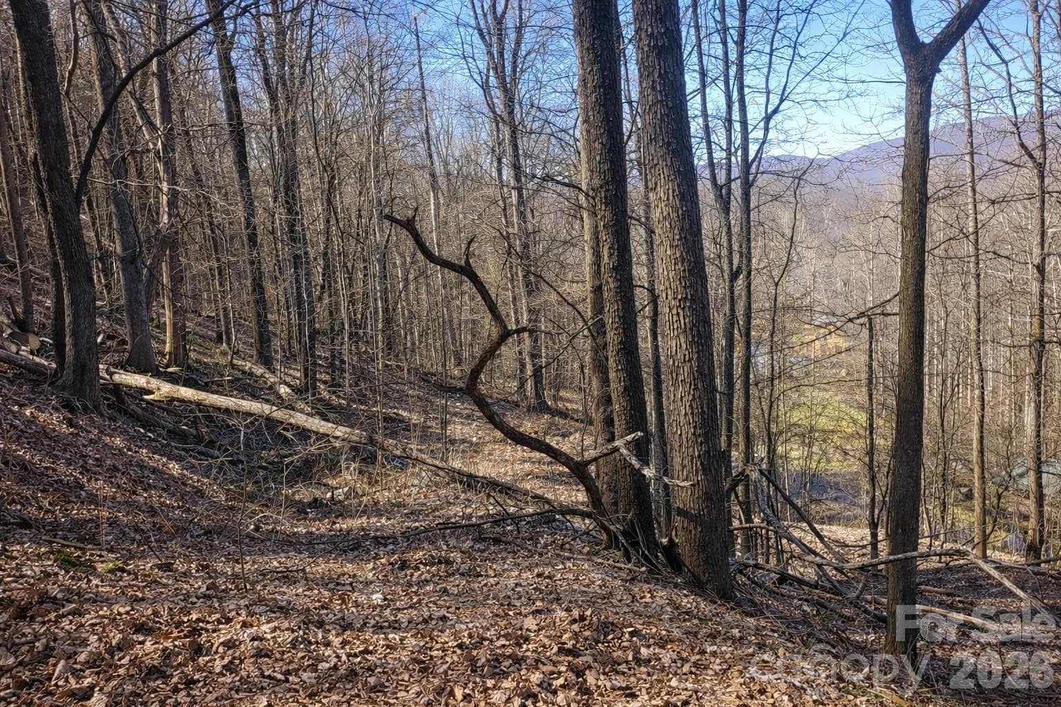 Lot at 4 Buckeye Road, Maggie Valley, photo 5 of 9