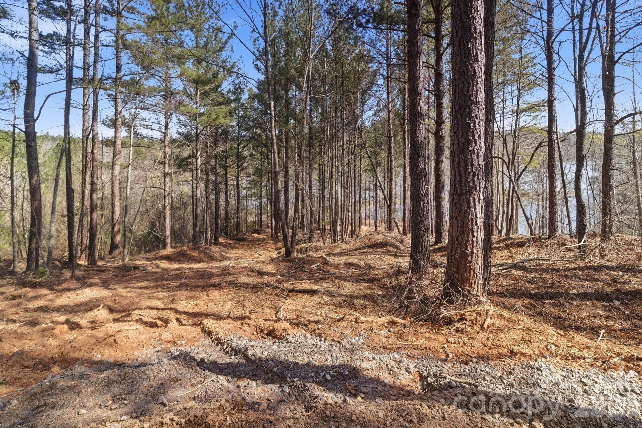 Lot at 199 Table Rock Trace NW, Valdese, photo 4 of 20