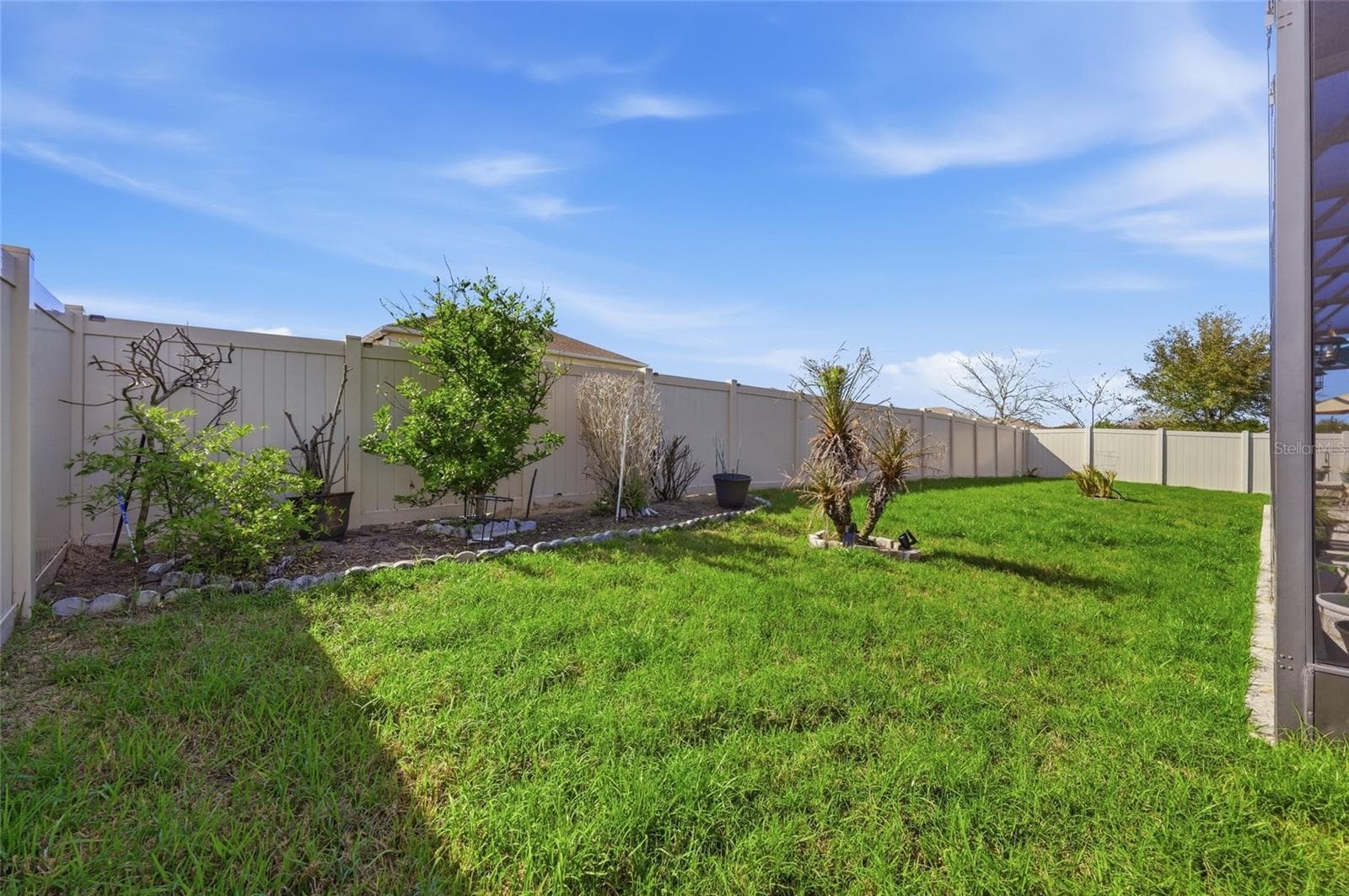 Backyard - 468 HALTER DR, APOPKA