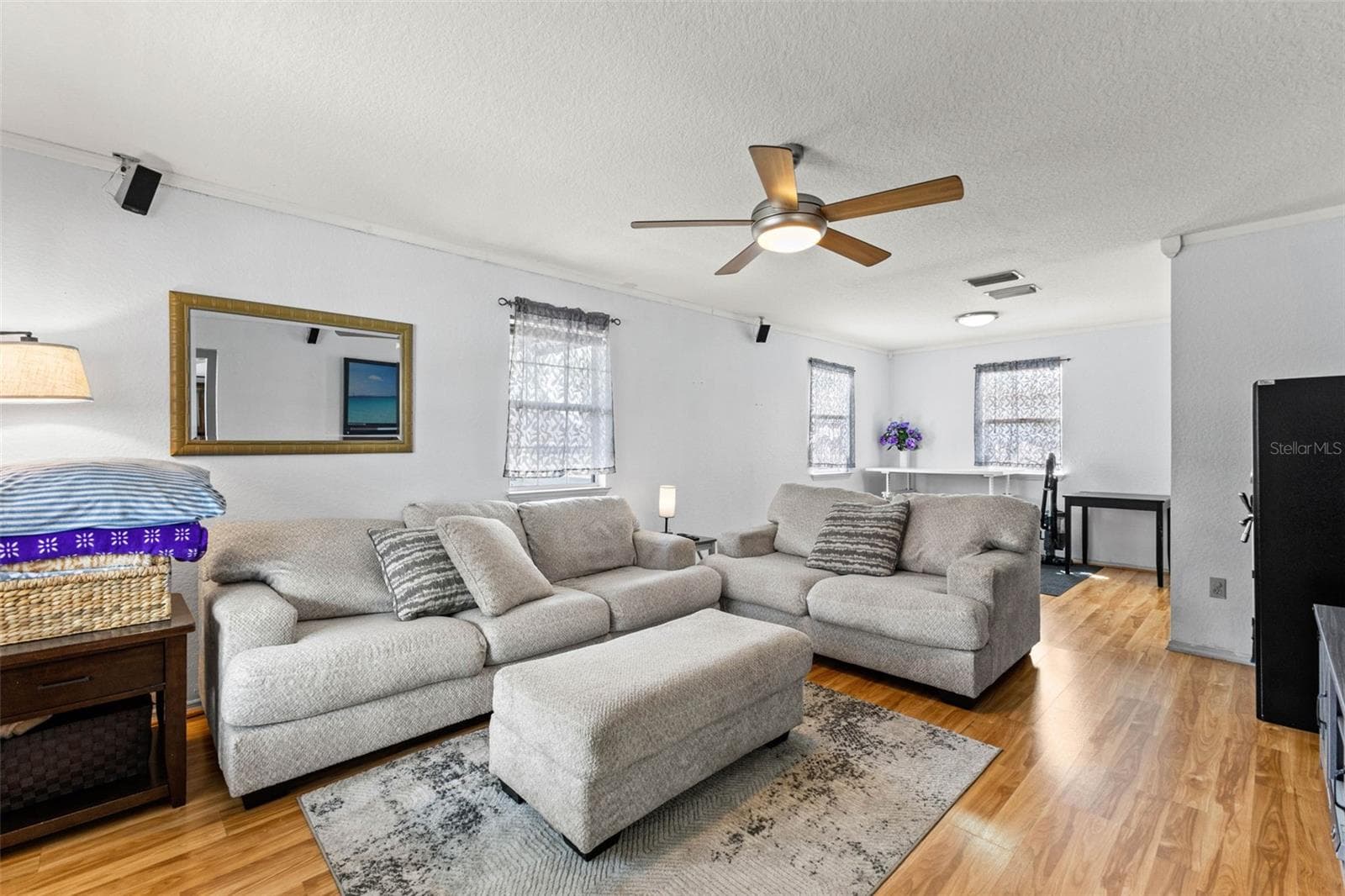 Living Room - 11119 MAHIN LN, RIVERVIEW