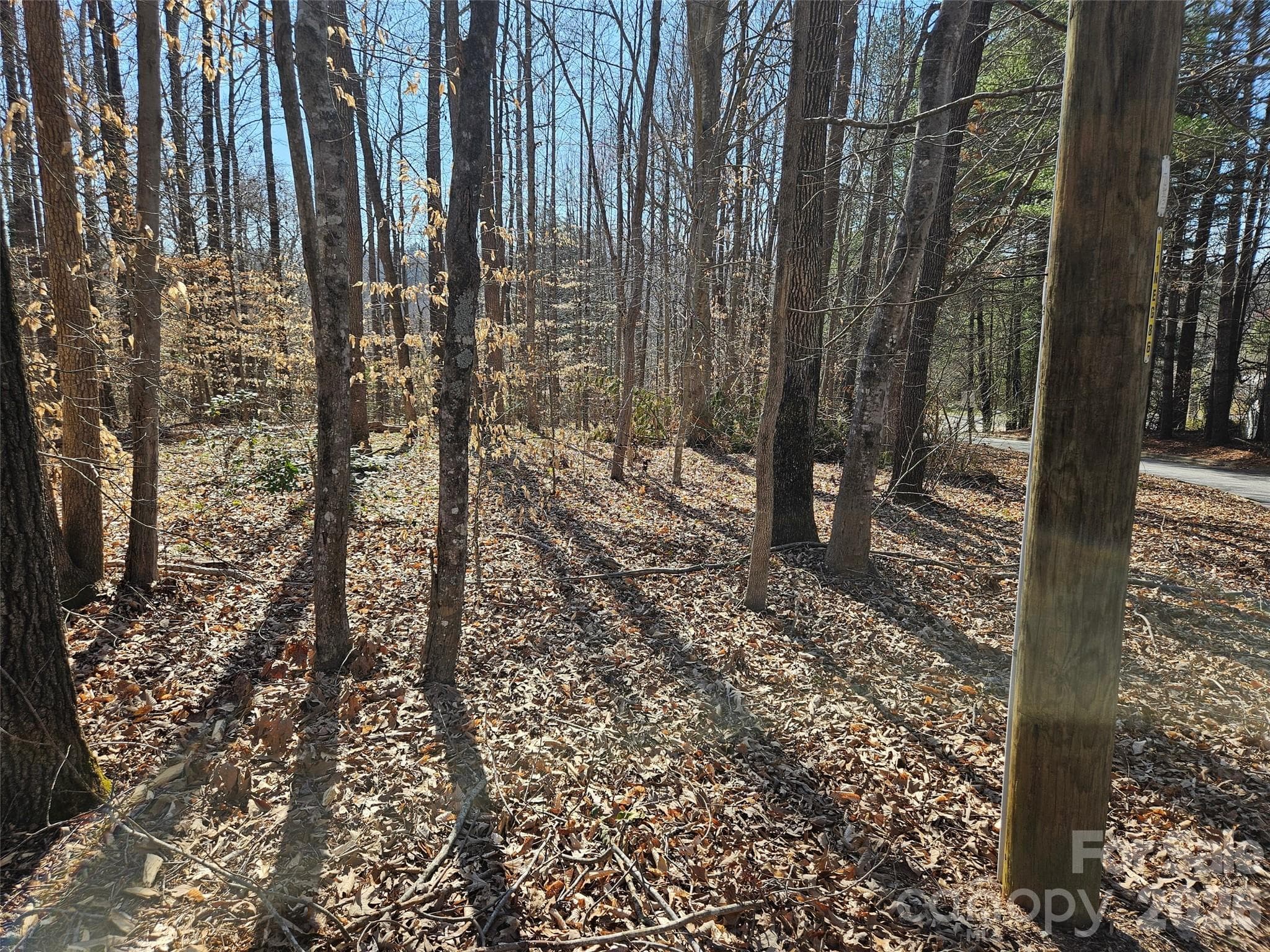 Lot at Rutherfordton, photo 2 of 8