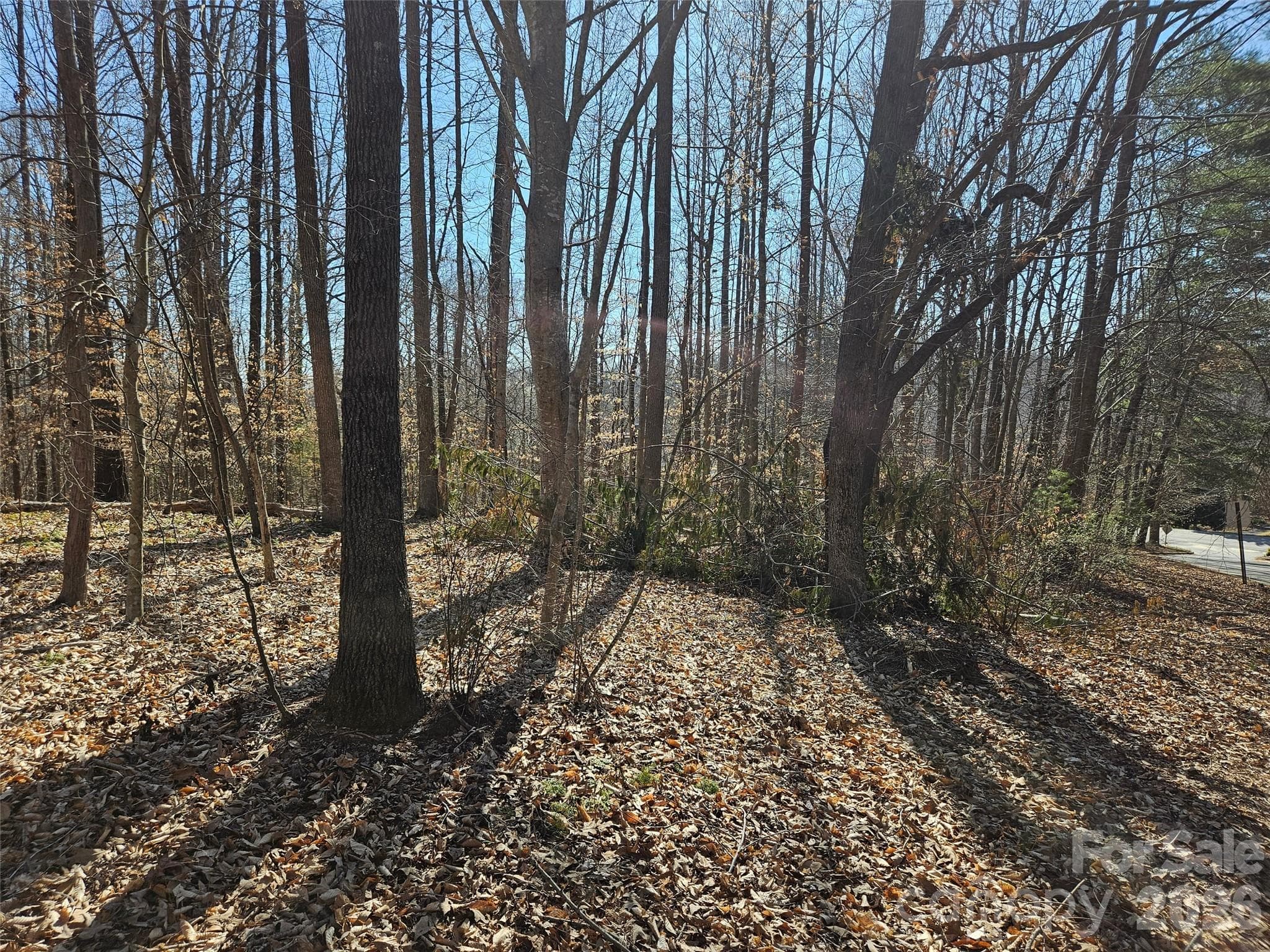 Lot at Rutherfordton, photo 3 of 8