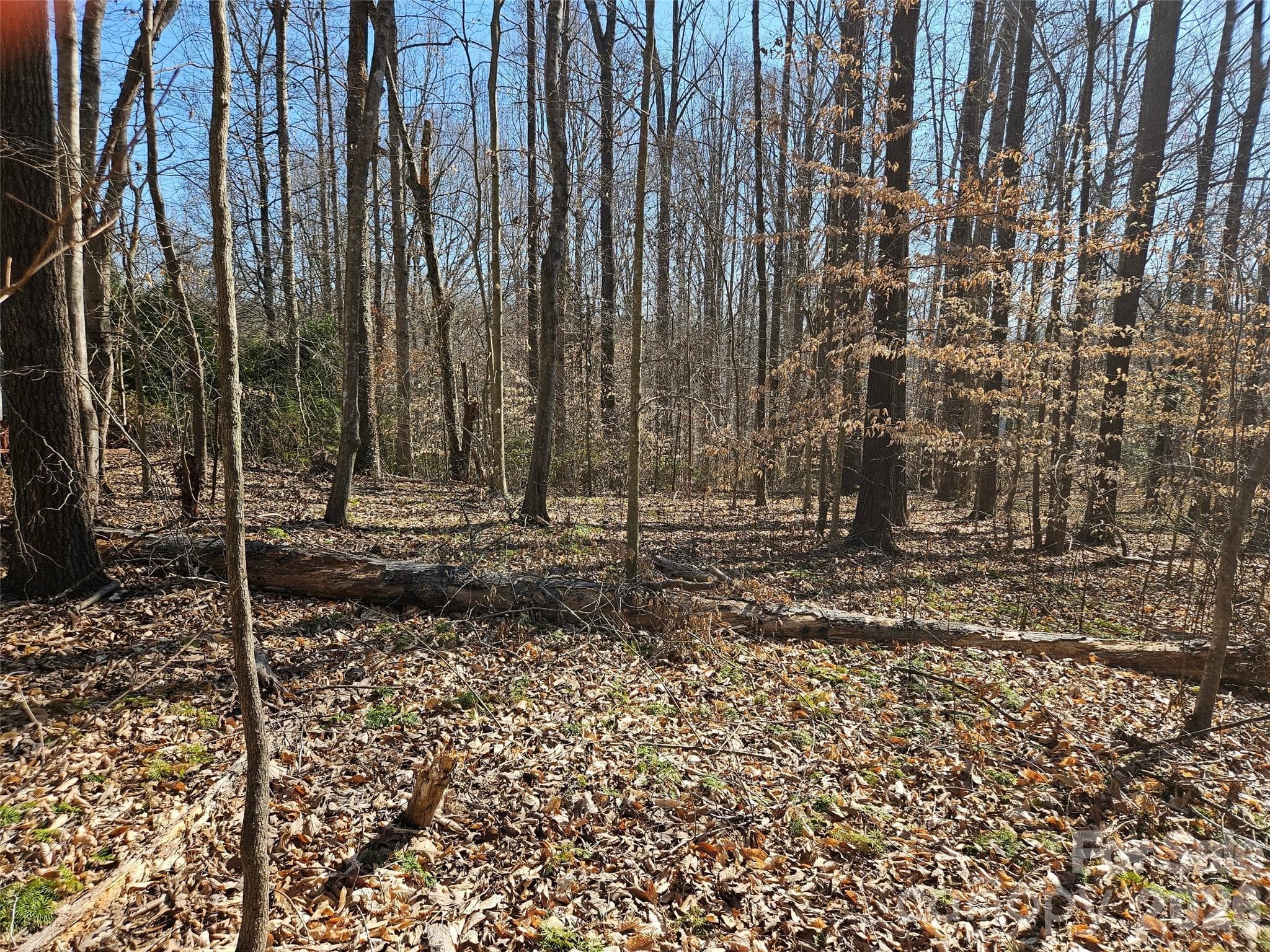 Lot at Rutherfordton, photo 5 of 8