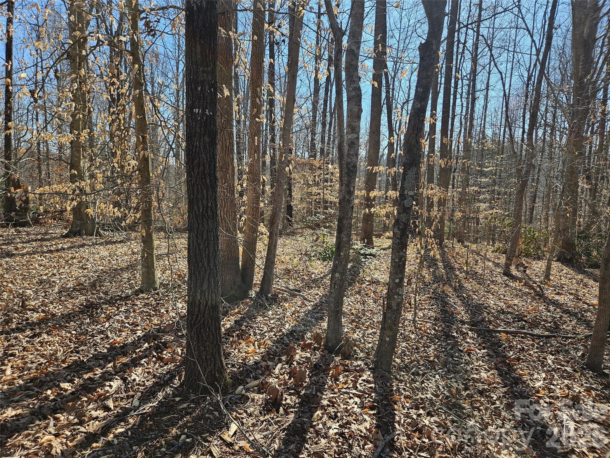 Lot at Rutherfordton, photo 8 of 8