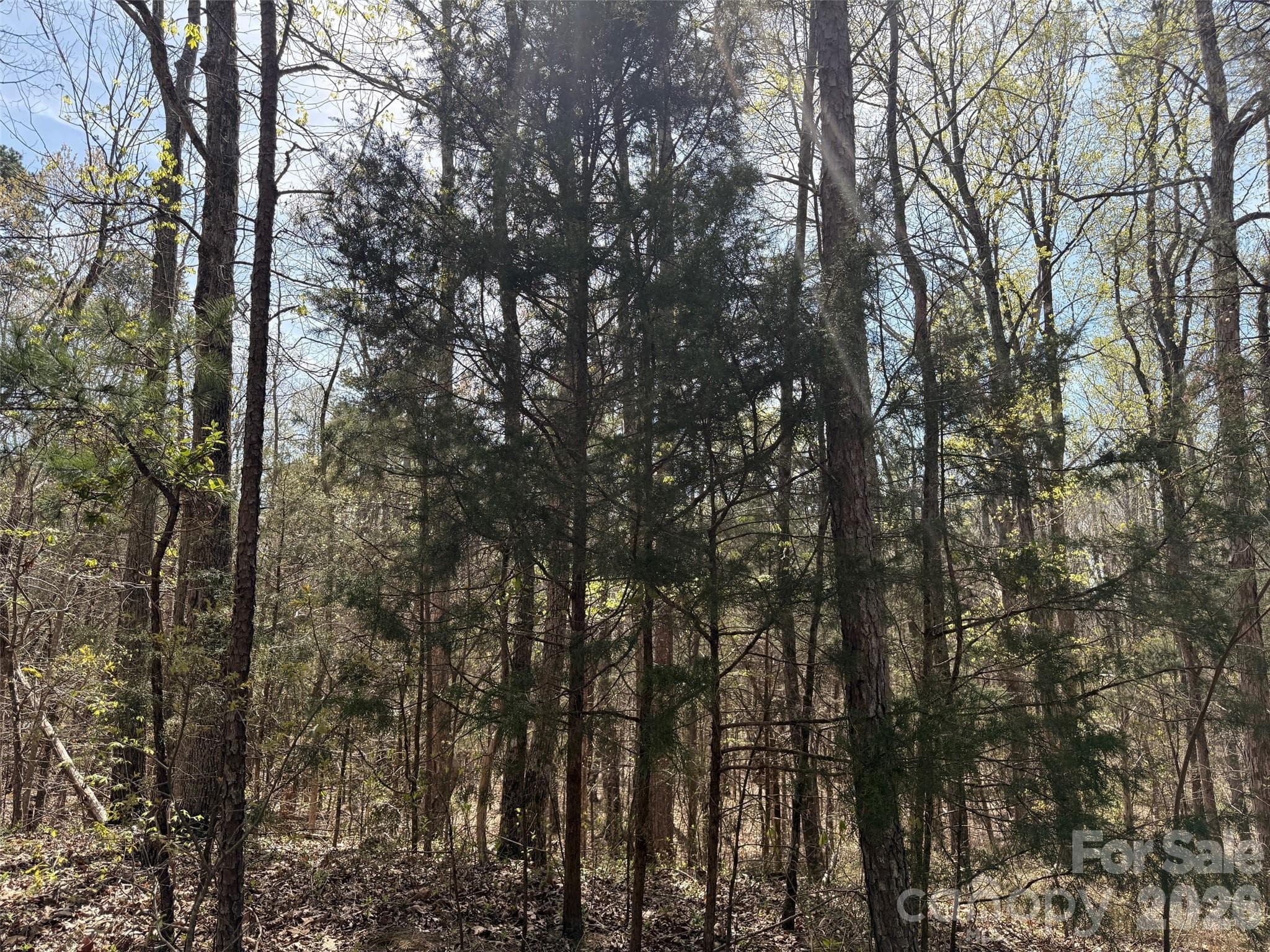 Lot at Kannapolis, photo 2 of 4
