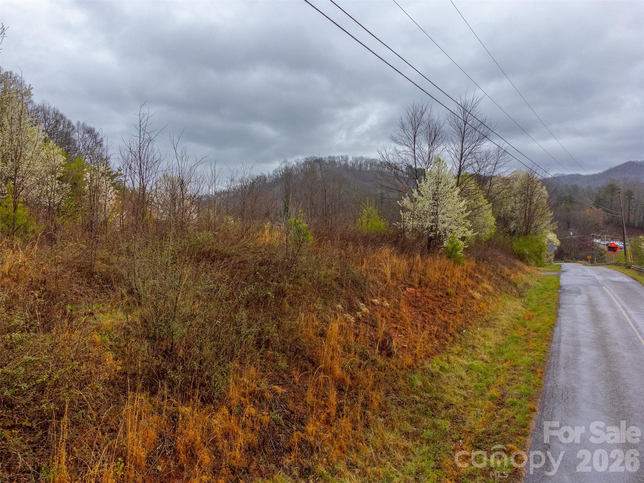 Acreage at Sylva, photo 3 of 22