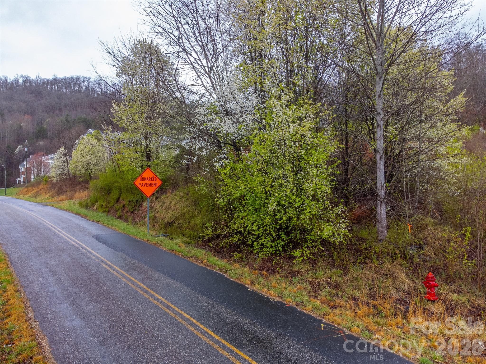 Acreage at Sylva, photo 4 of 22