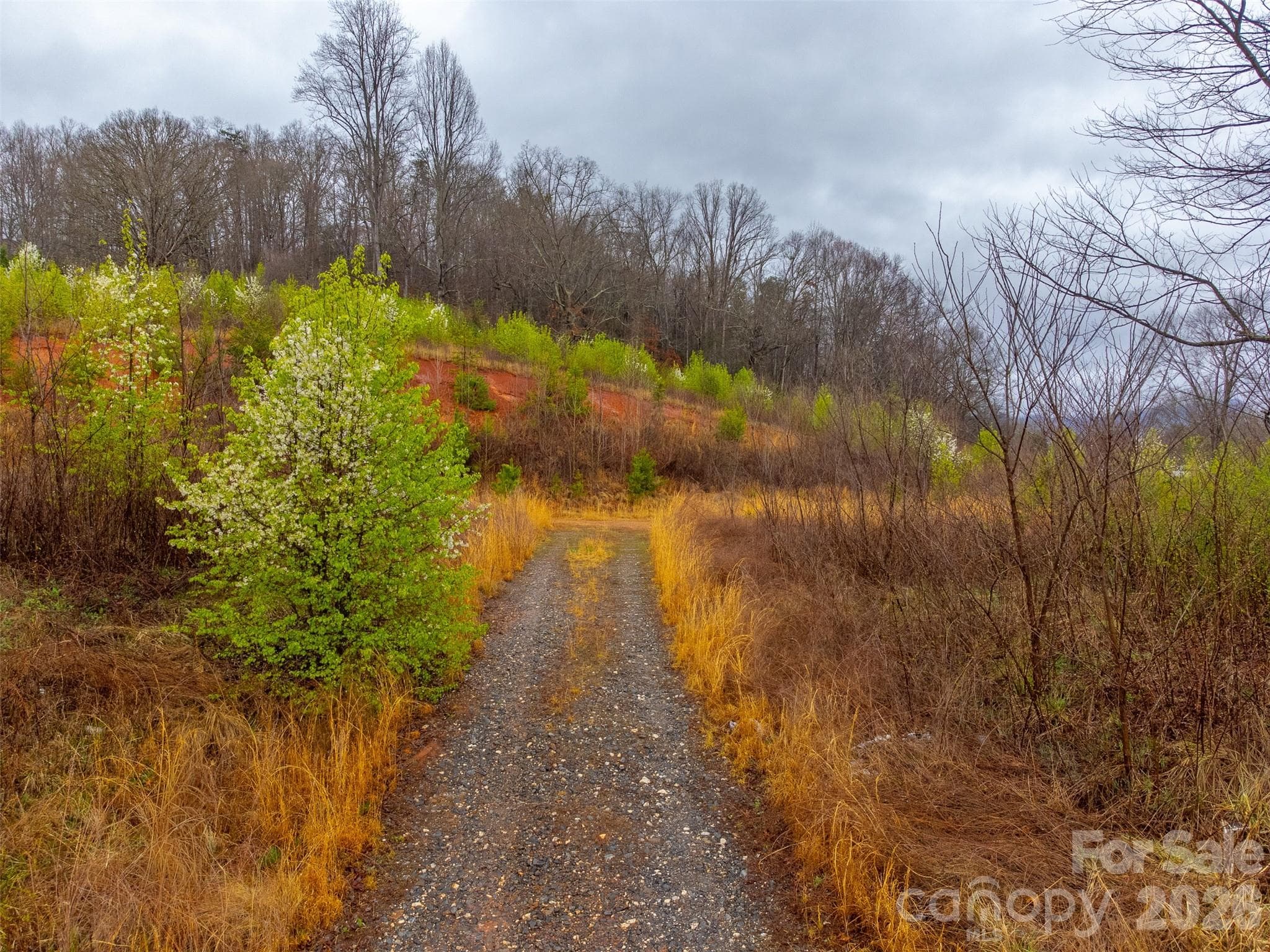 Acreage at Sylva, photo 5 of 22