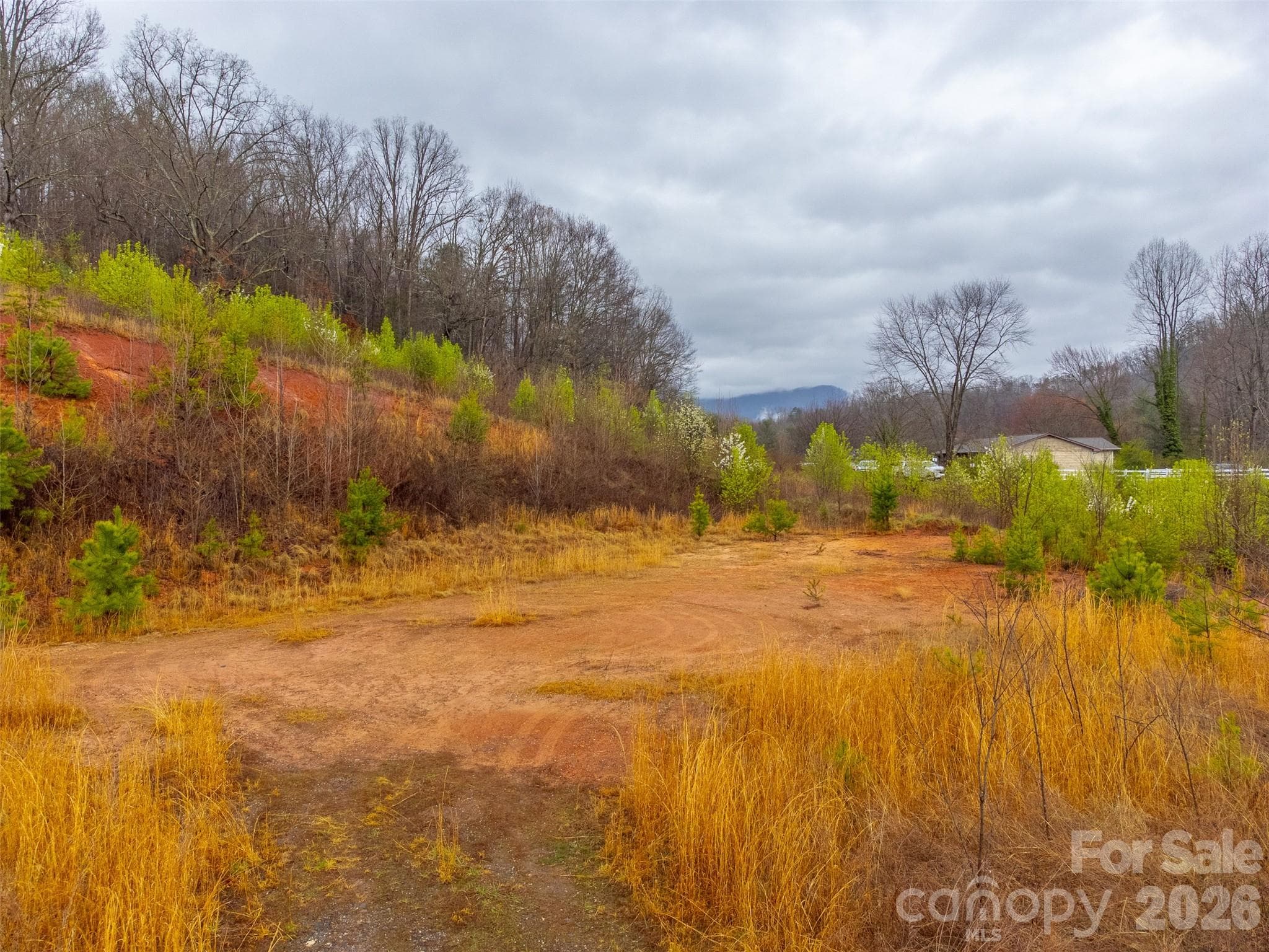 Acreage at Sylva, photo 6 of 22