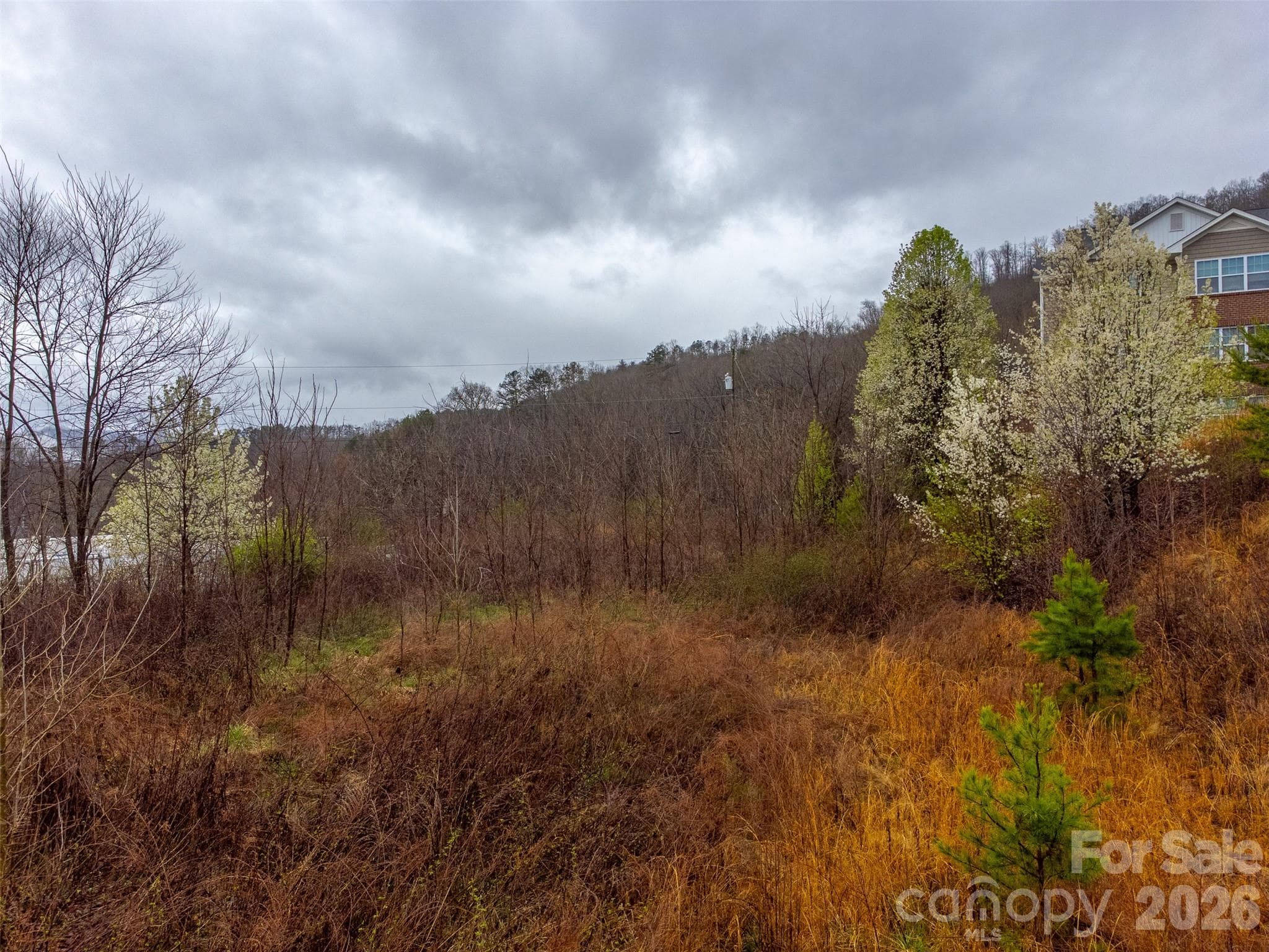 Acreage at Sylva, photo 7 of 22