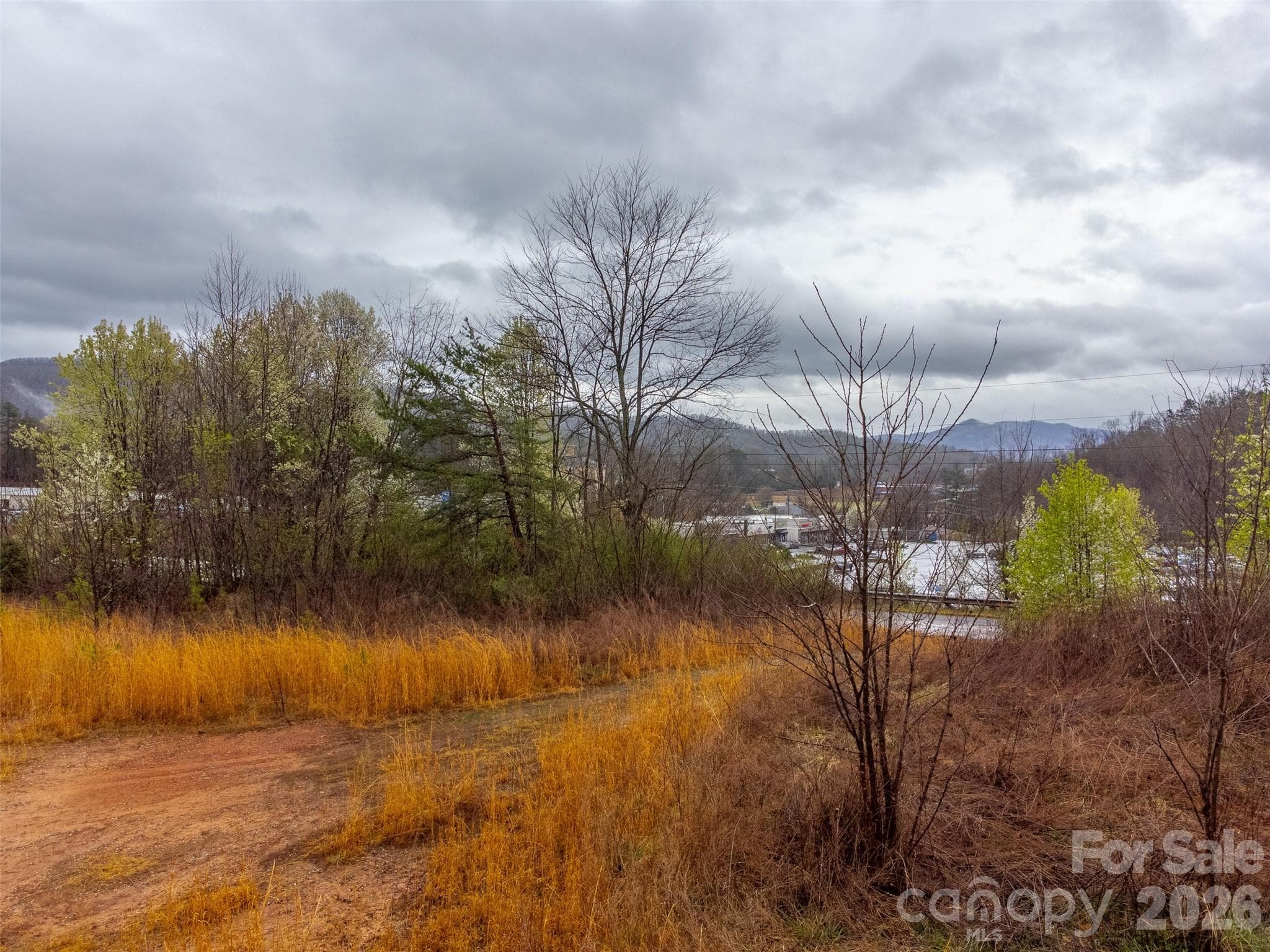 Acreage at Sylva, photo 8 of 22