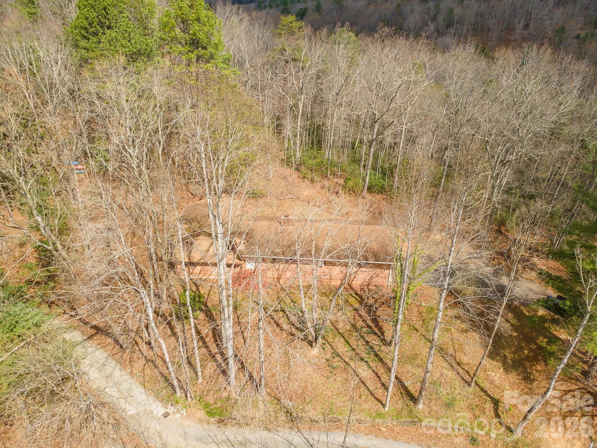 Single Family Residence at 118 Richard Lane, Black Mountain, photo 7 of 43