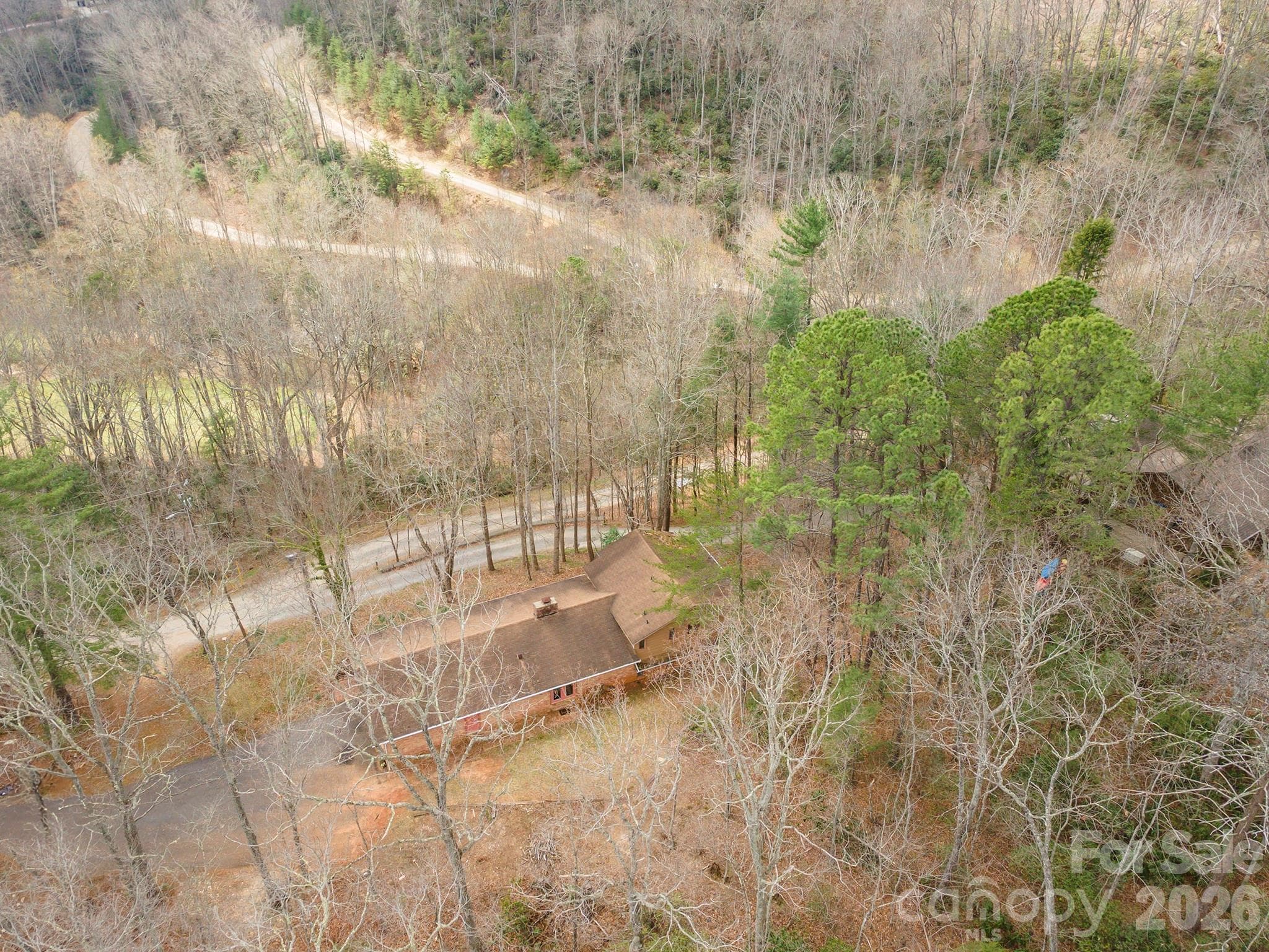 Single Family Residence at 118 Richard Lane, Black Mountain, photo 8 of 43