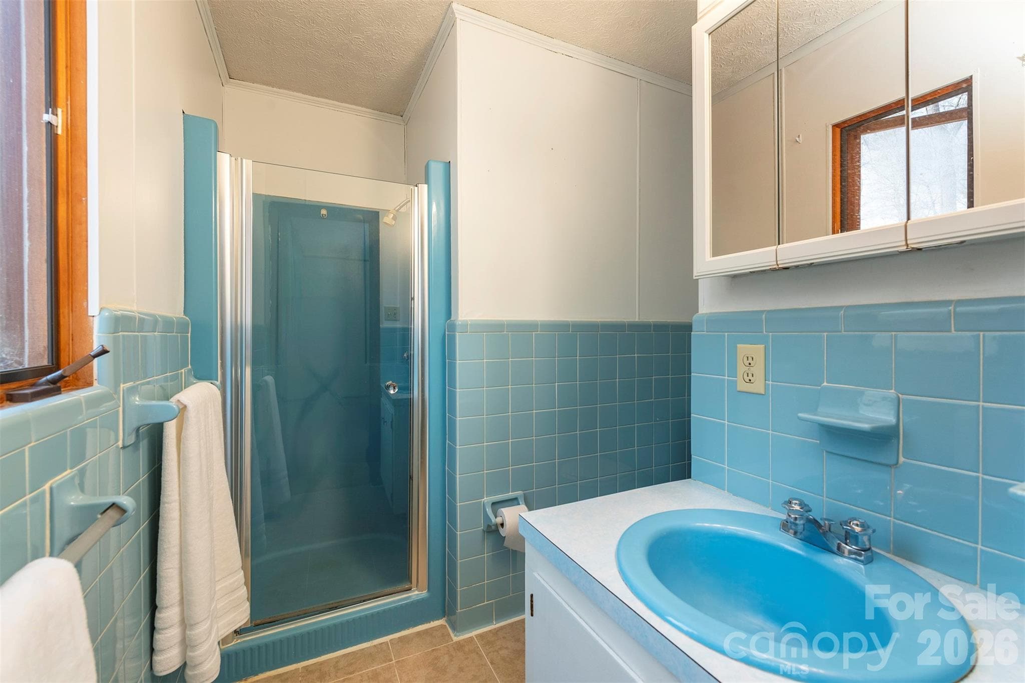 Single Family Residence at 118 Richard Lane, Black Mountain, photo 28 of 43