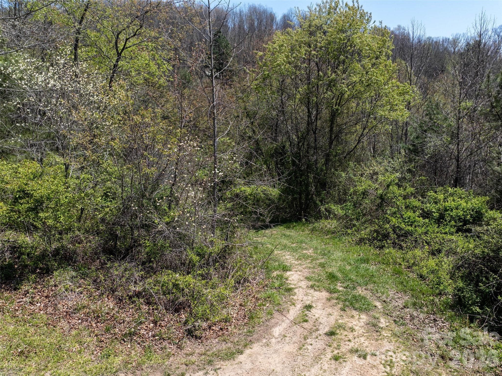 Lot at Clyde, photo 3 of 11
