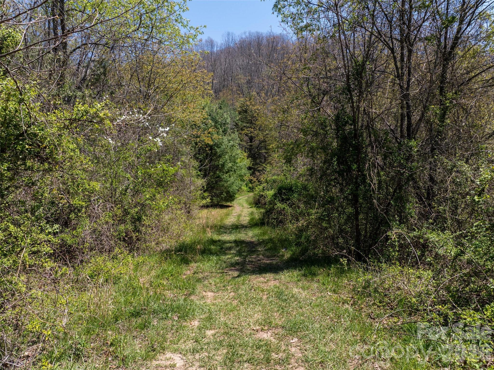 Lot at Clyde, photo 4 of 11