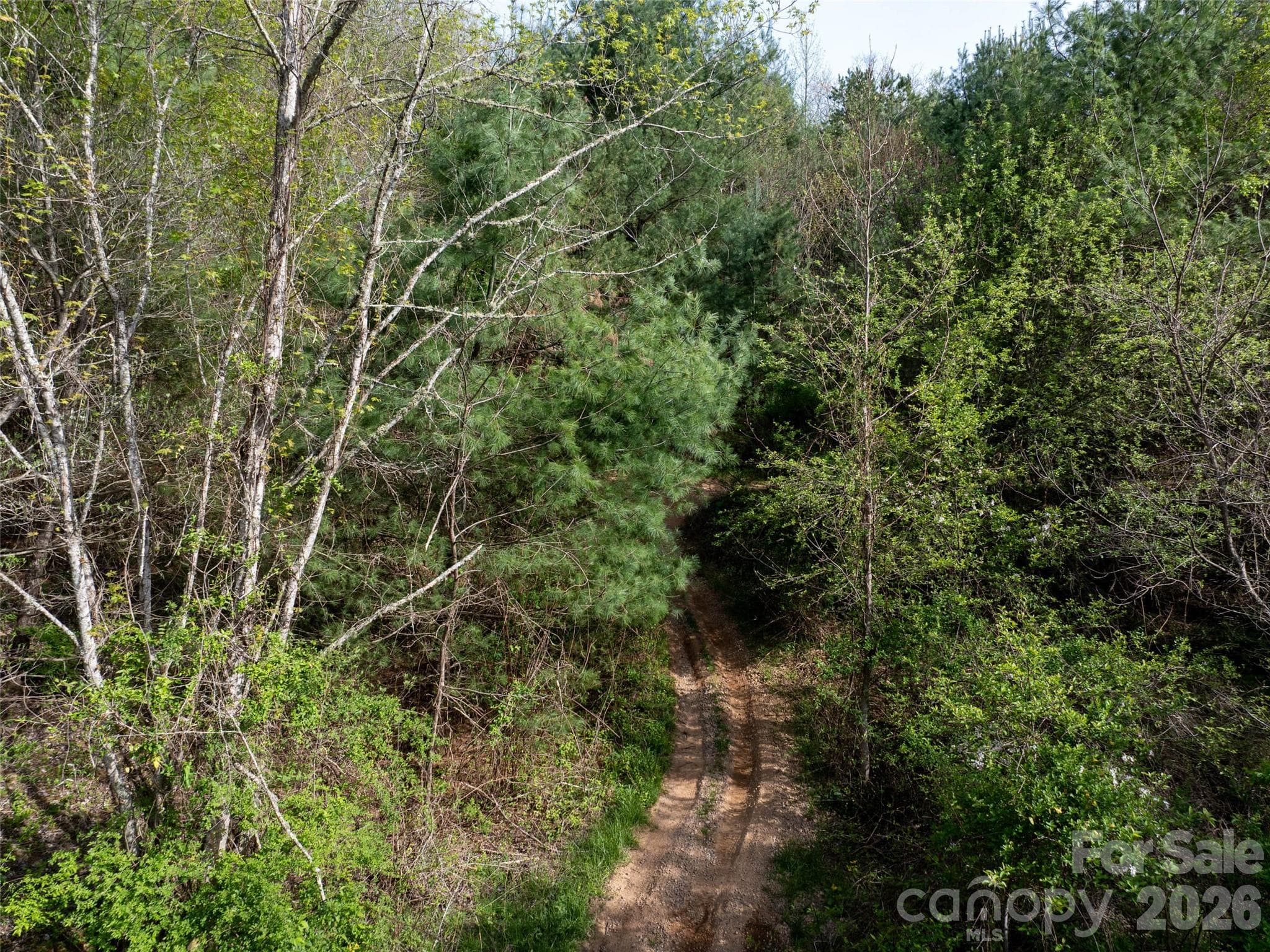 Lot at Lot 43 Sunnybrook Trail, Clyde, photo 8 of 11