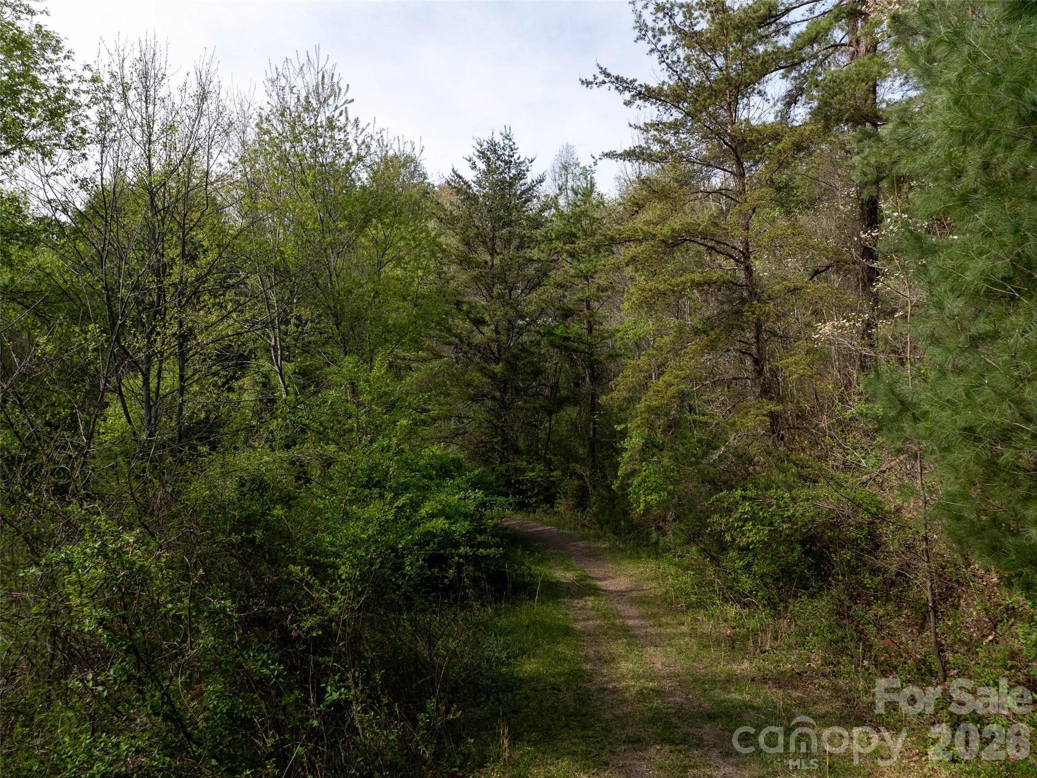 Lot at Lot 43 Sunnybrook Trail, Clyde, photo 11 of 11