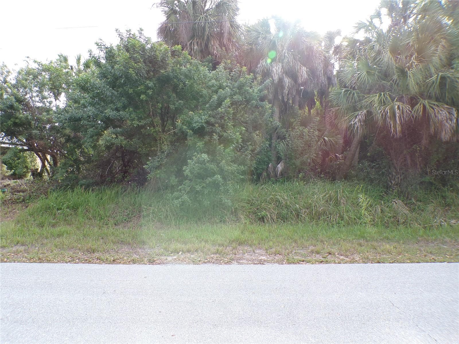 164 FERDON CIR