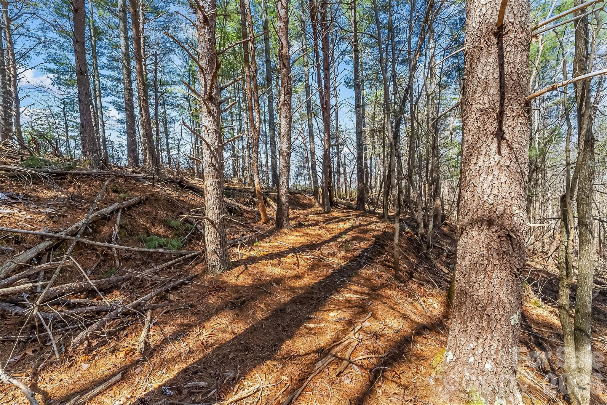 Lot at 121 Lake Crest Drive, Nebo, photo 8 of 17