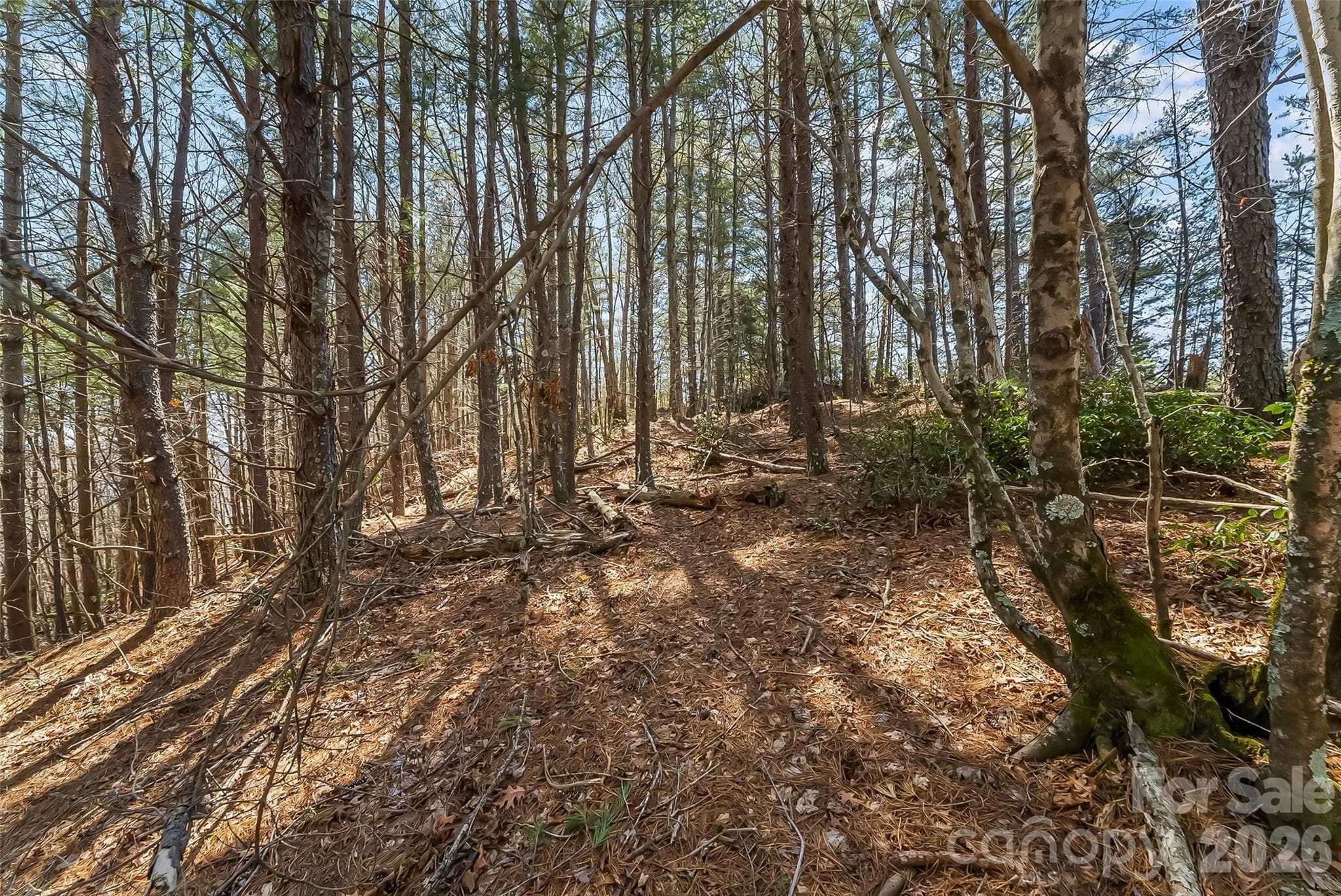 Lot at 121 Lake Crest Drive, Nebo, photo 9 of 17