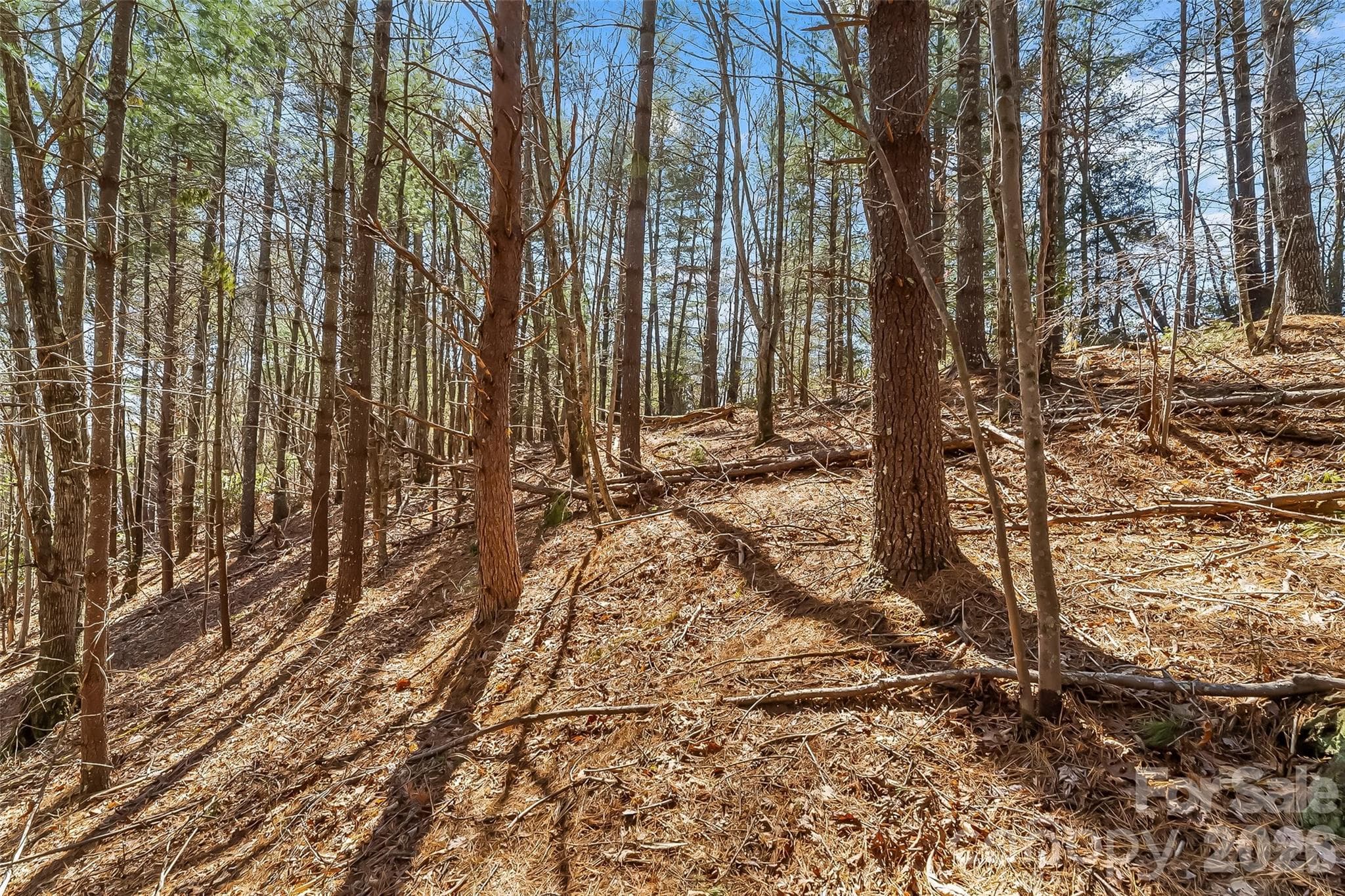 Lot at 121 Lake Crest Drive, Nebo, photo 10 of 17