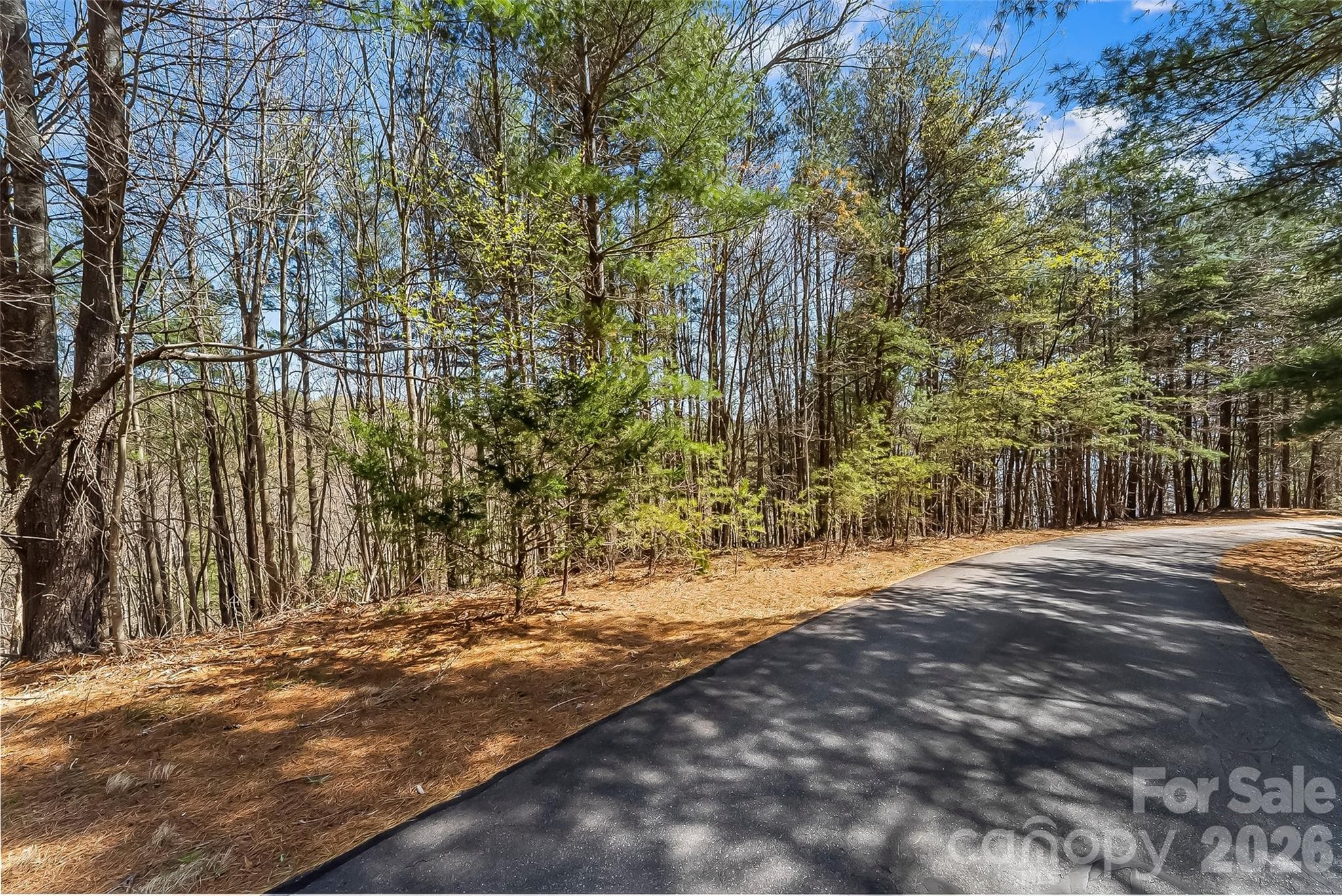 Lot at 121 Lake Crest Drive, Nebo, photo 14 of 17