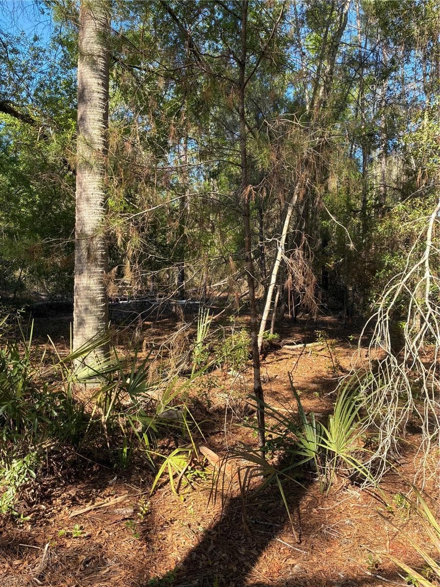 Picture of property section. - 24533 PINK PANTHER RD, PAISLEY