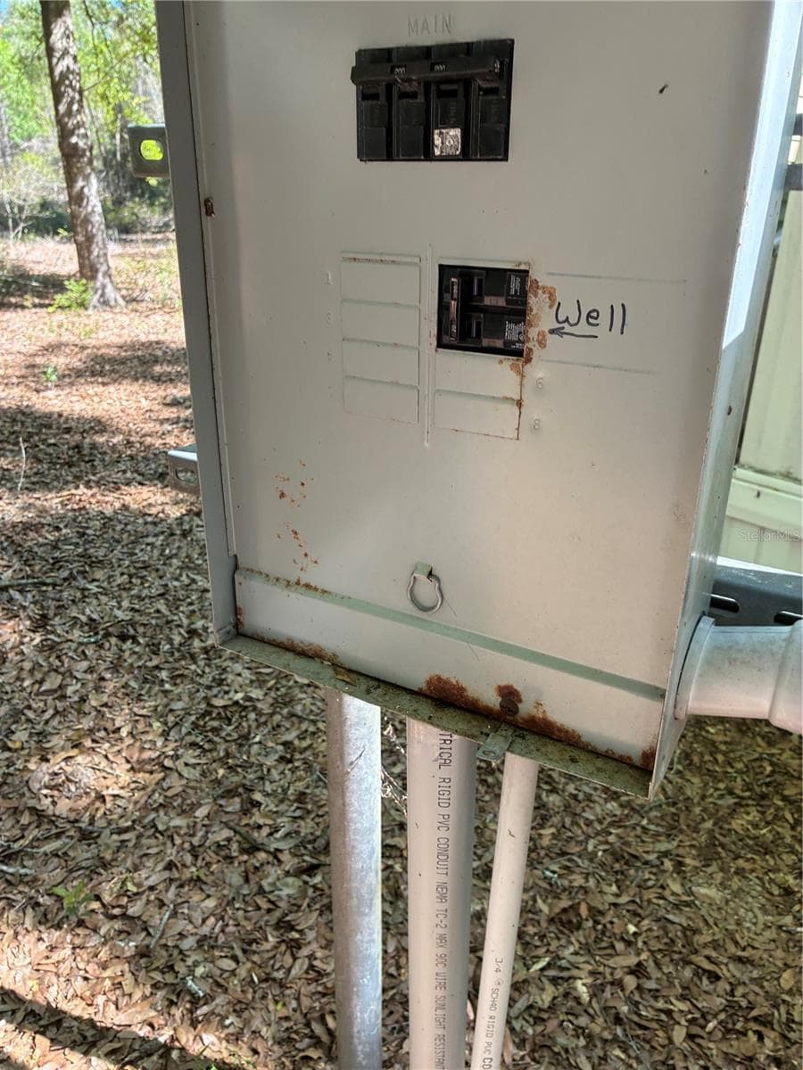Electrical box with power for main and well on the left side of the house. - 24533 PINK PANTHER RD, PAISLEY