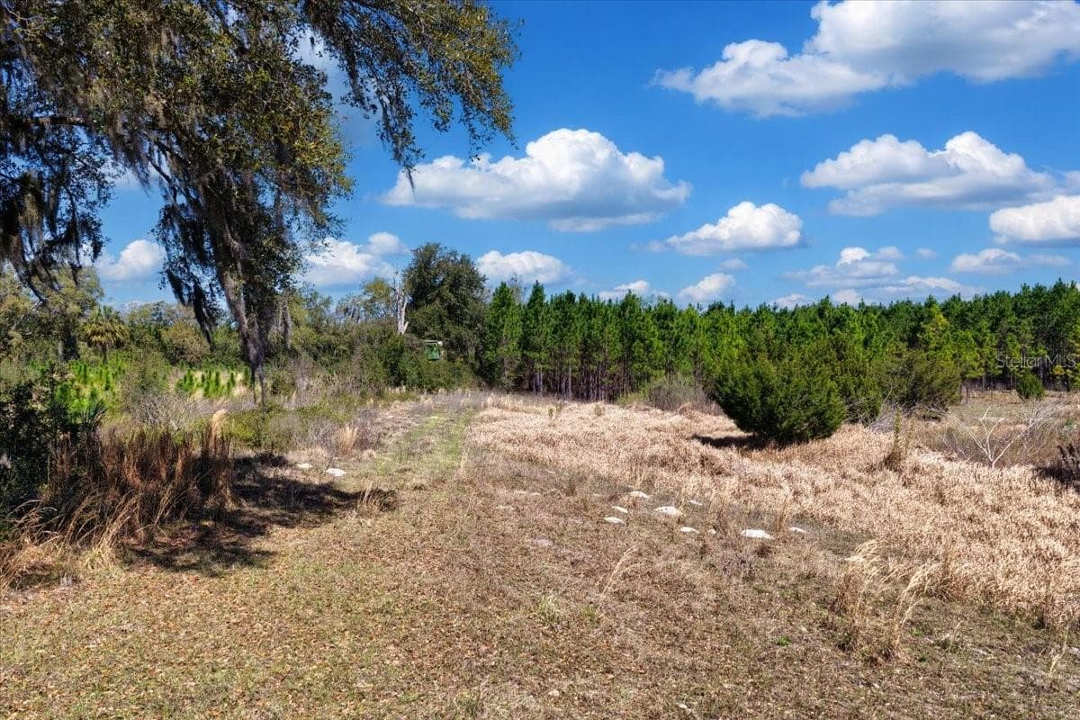 Land at 000 NW 60TH AVE, CHIEFLAND, photo 3 of 22