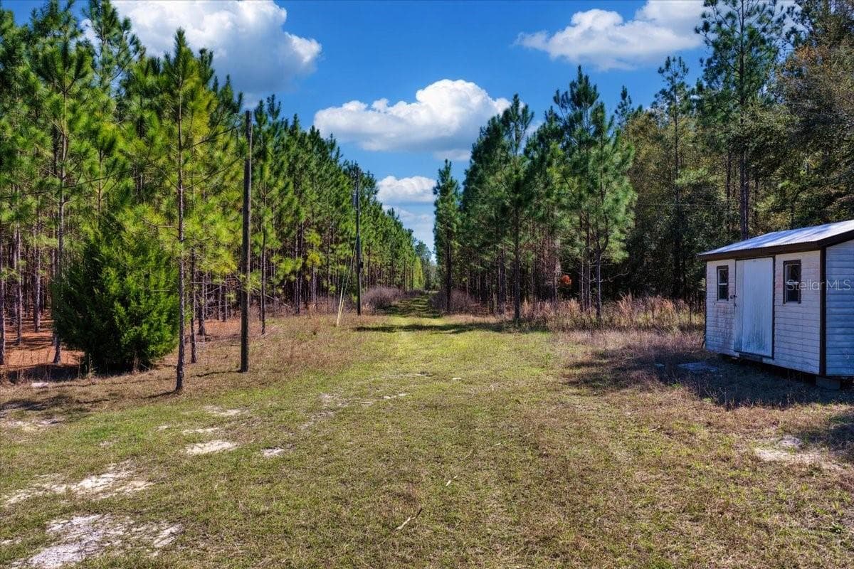 Land at 000 NW 60TH AVE, CHIEFLAND, photo 5 of 22
