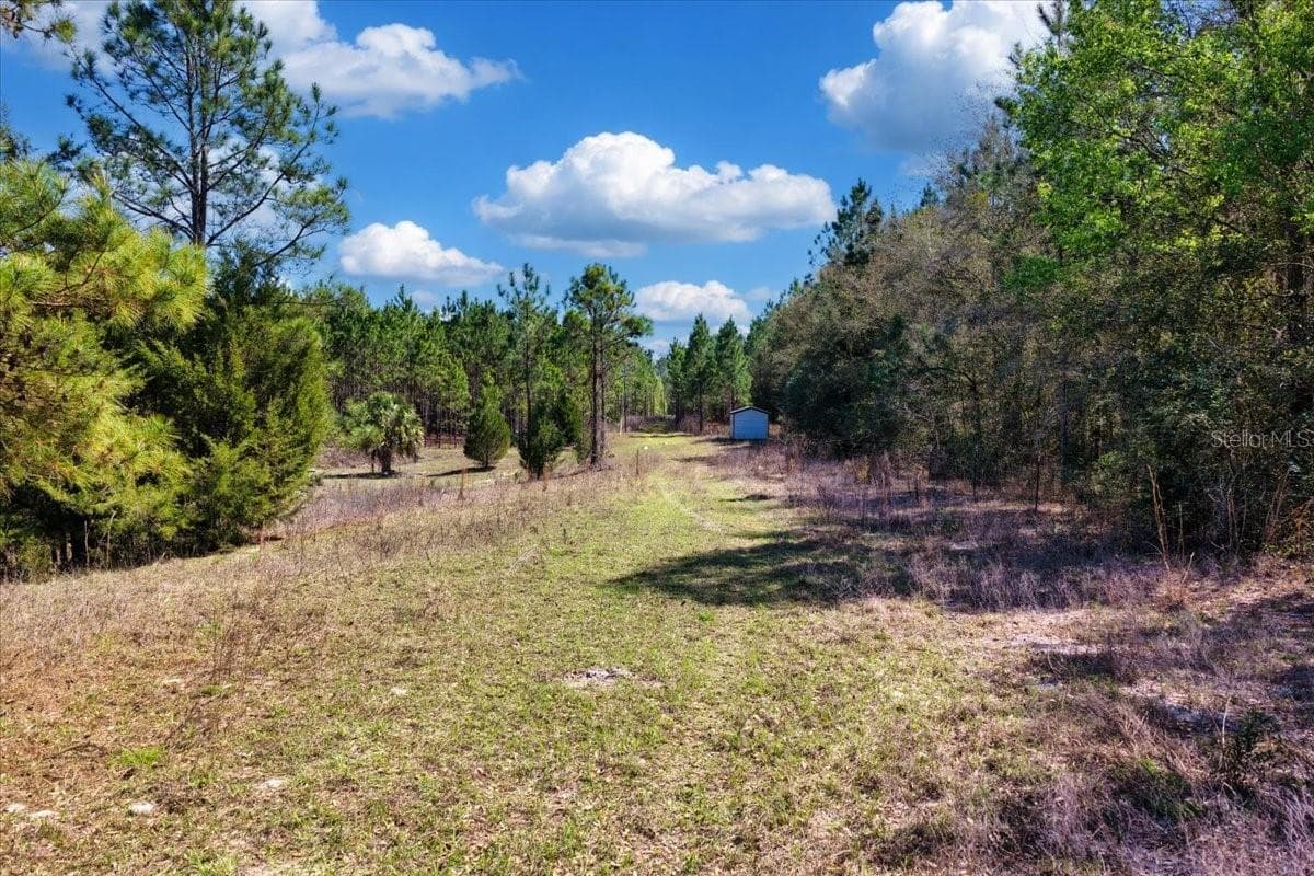 Land at 000 NW 60TH AVE, CHIEFLAND, photo 6 of 22