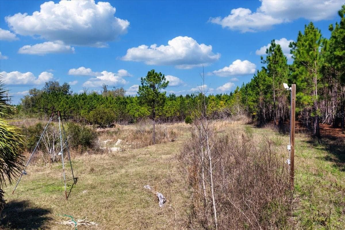 Land at 000 NW 60TH AVE, CHIEFLAND, photo 10 of 22