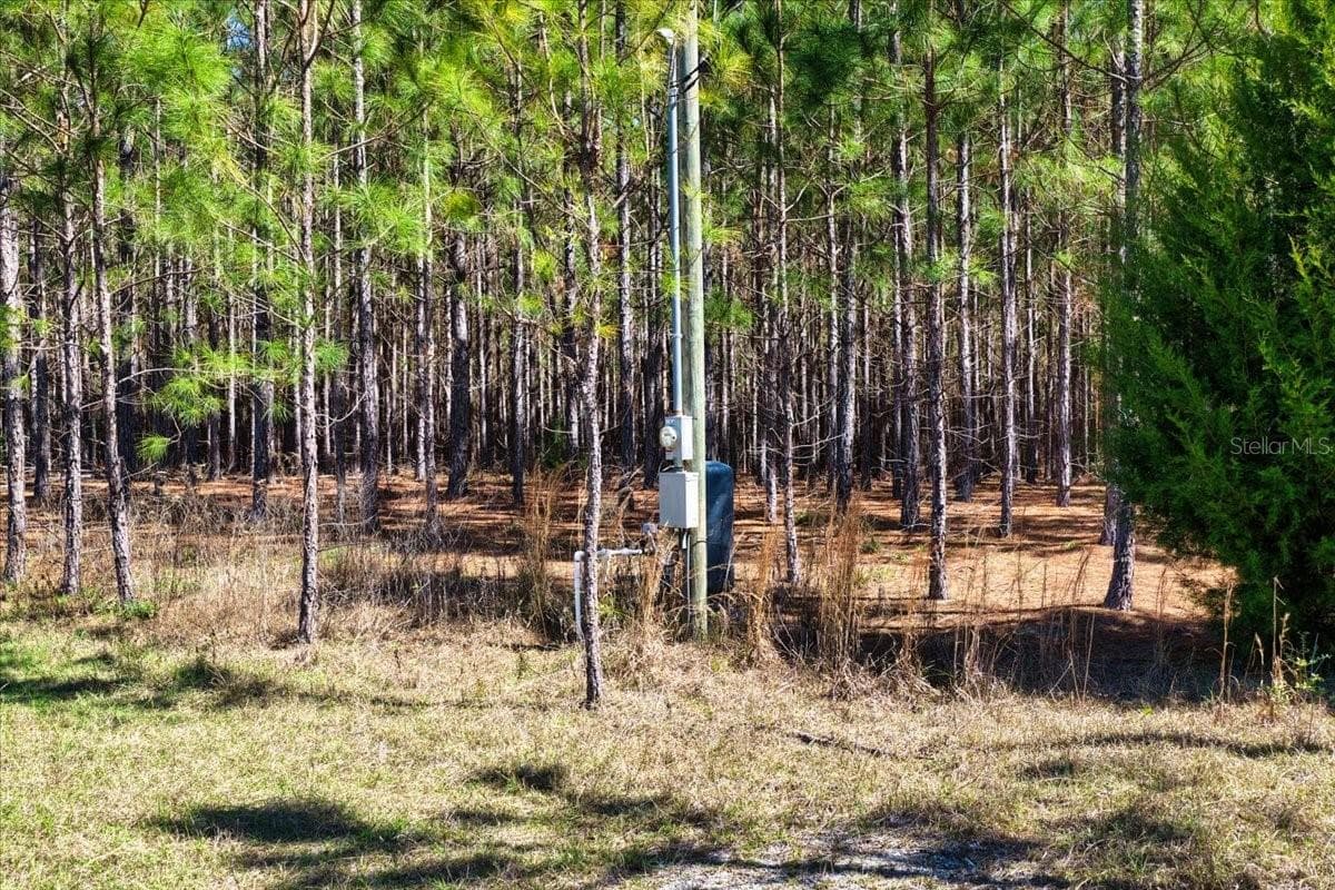 Land at 000 NW 60TH AVE, CHIEFLAND, photo 11 of 22