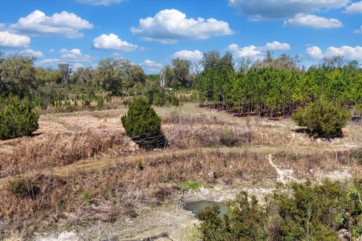 Land at 000 NW 60TH AVE, CHIEFLAND, photo 14 of 22