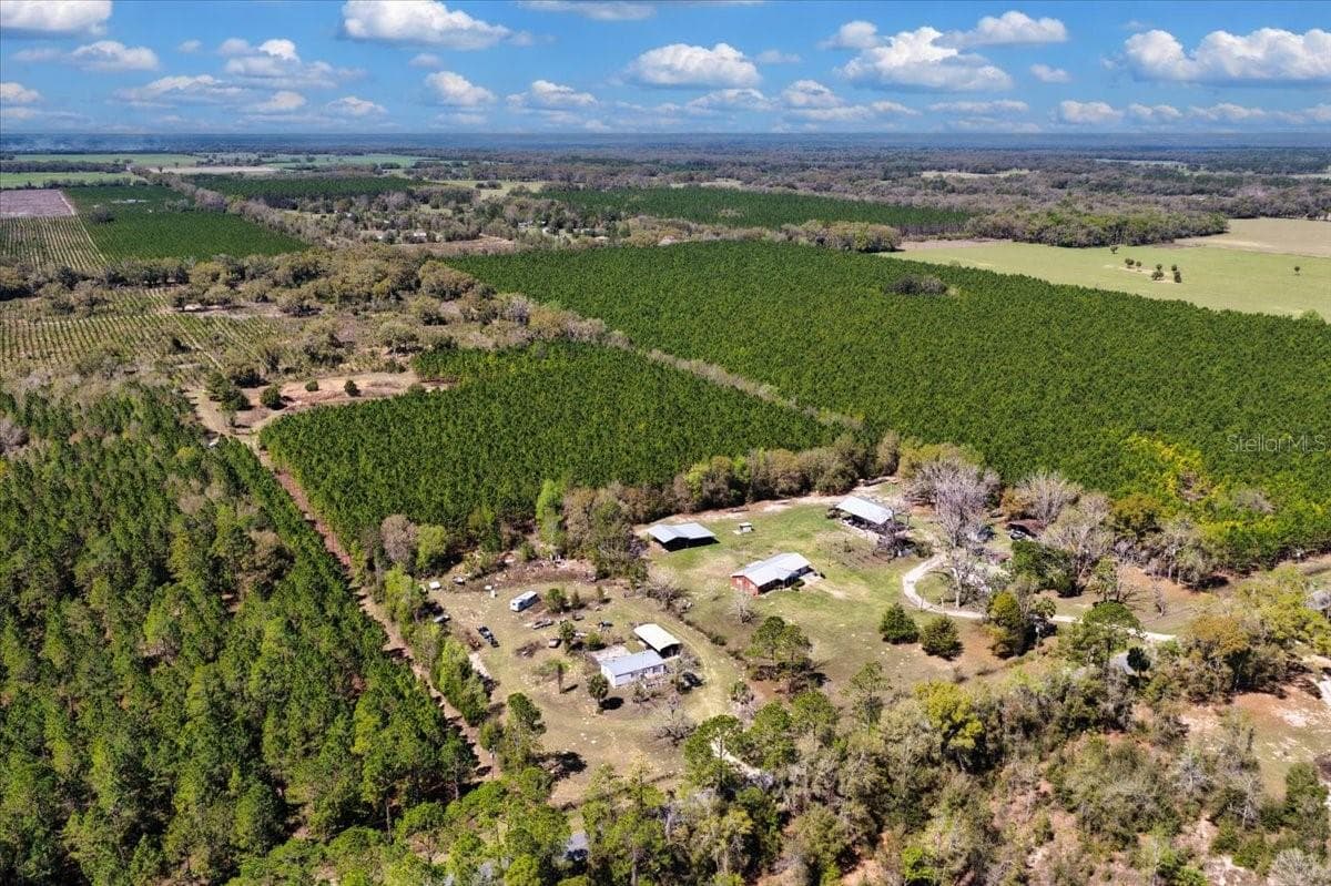 Land at 000 NW 60TH AVE, CHIEFLAND, photo 22 of 22