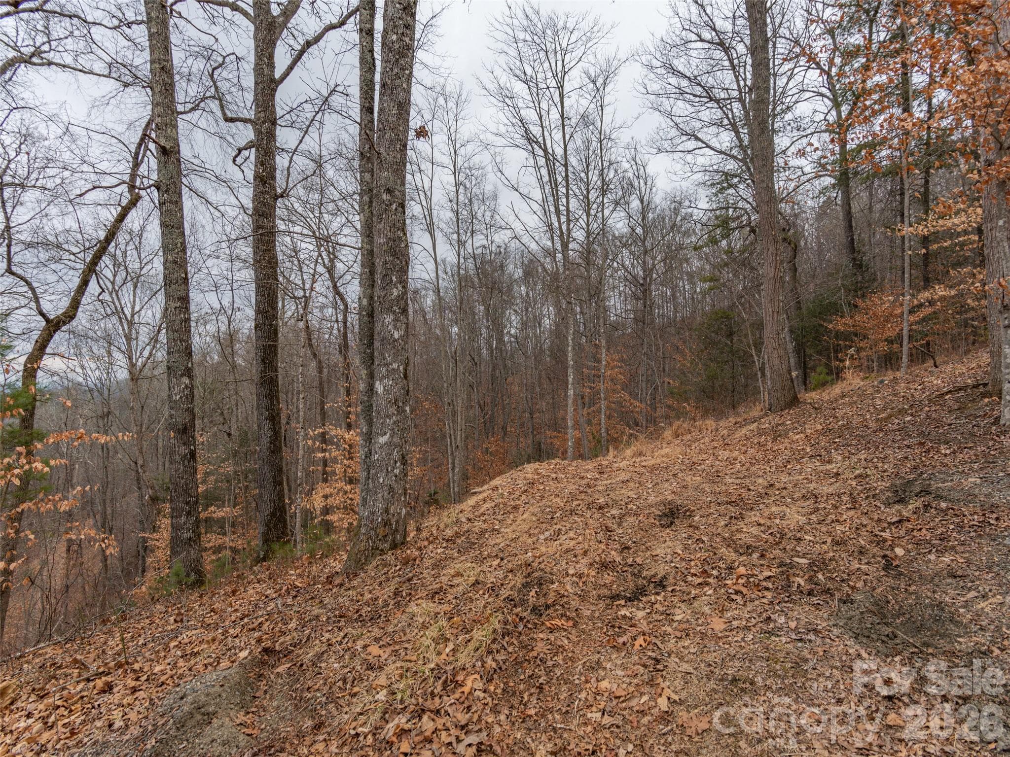 Lot at 189 Sandys Home Place, Mars Hill, photo 9 of 17