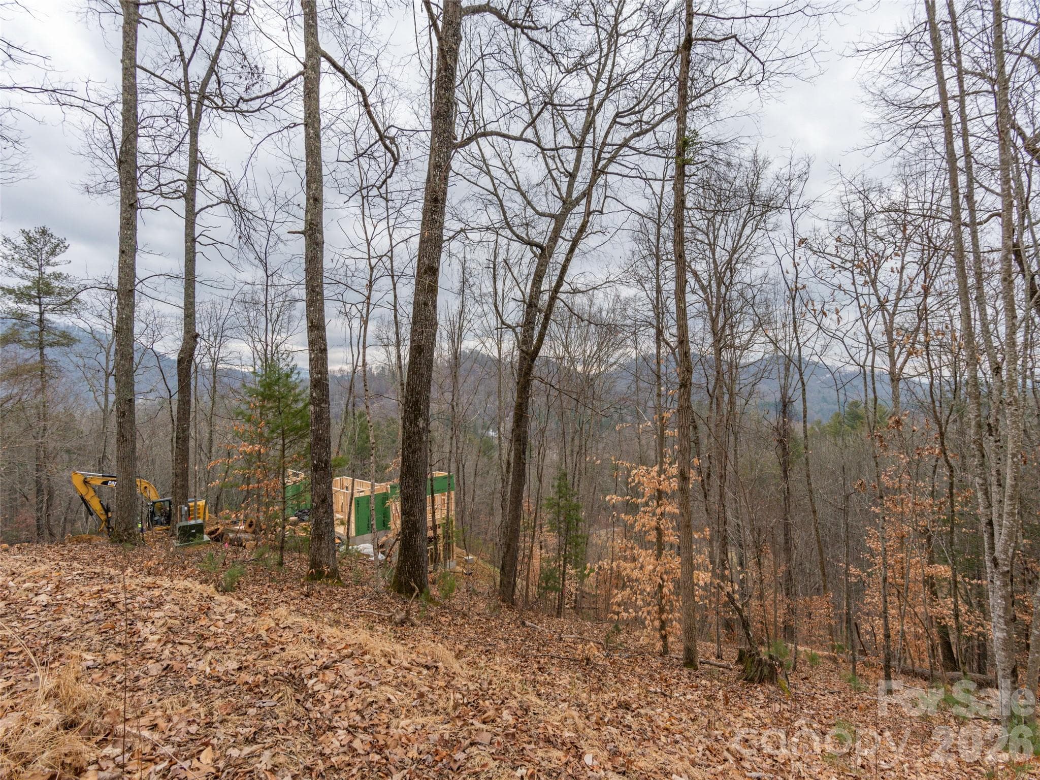 Lot at 189 Sandys Home Place, Mars Hill, photo 11 of 17