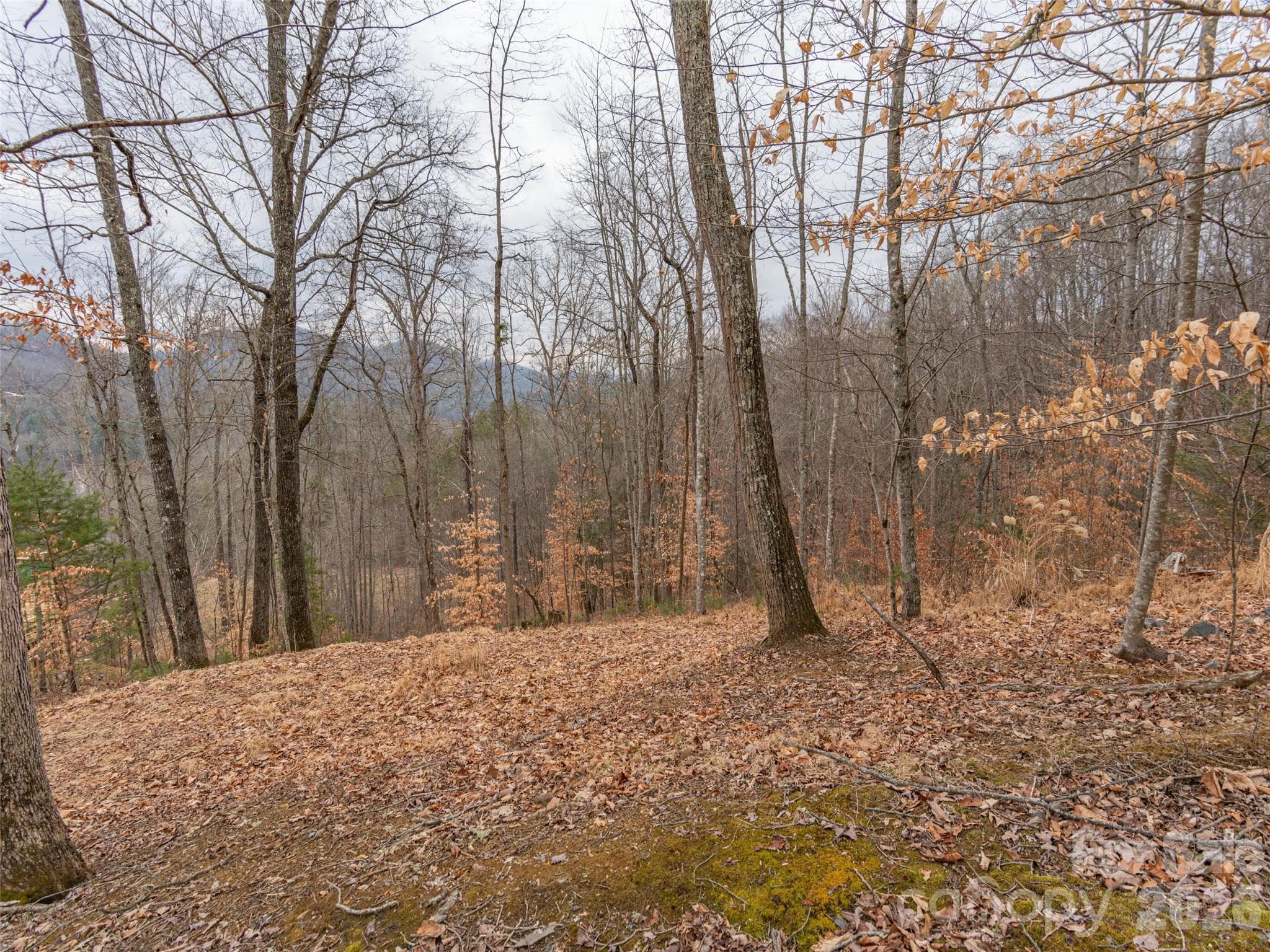 Lot at 189 Sandys Home Place, Mars Hill, photo 12 of 17