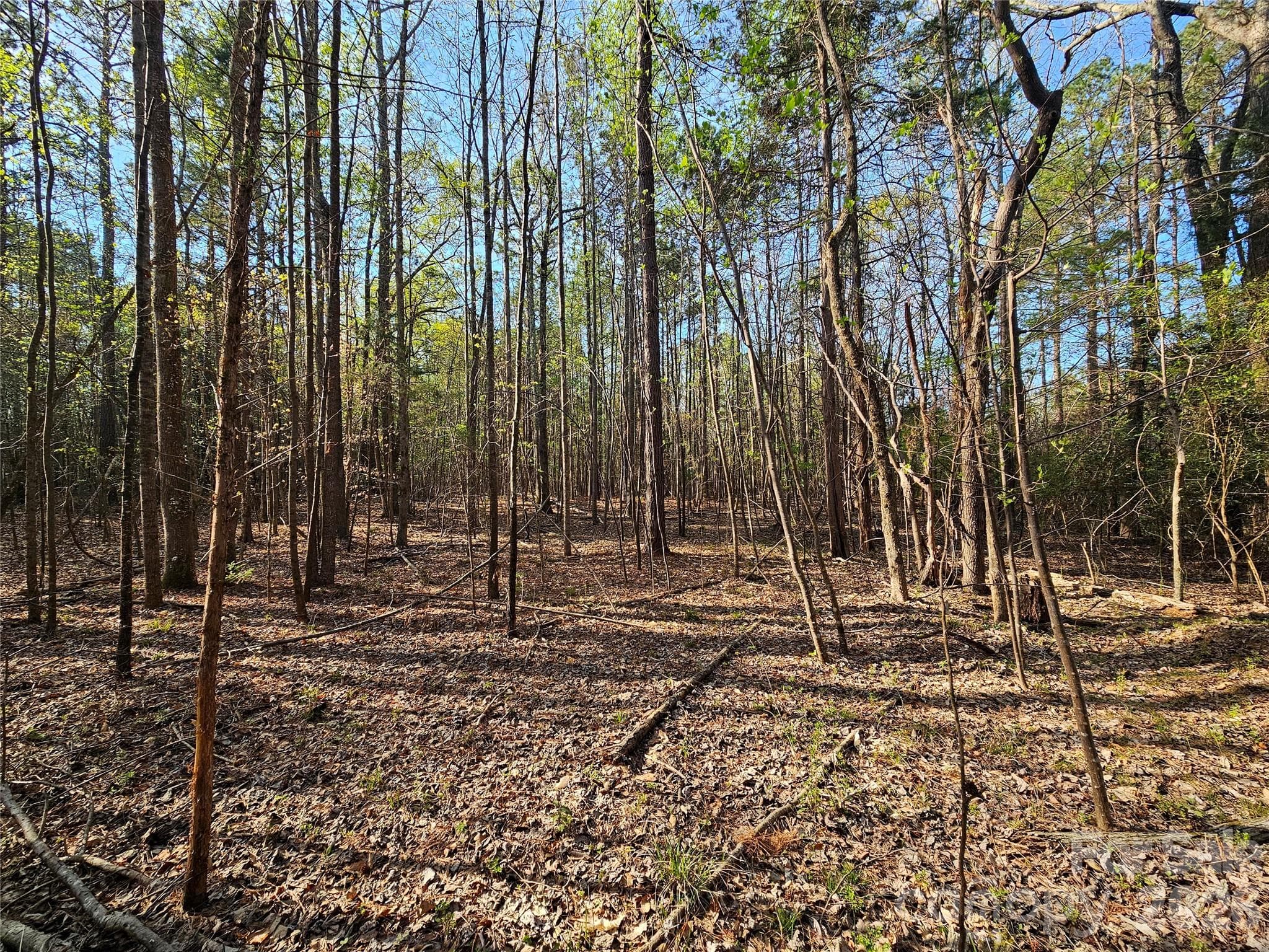 Acreage at Lot 10 Elliott Road, Richburg, photo 2 of 6
