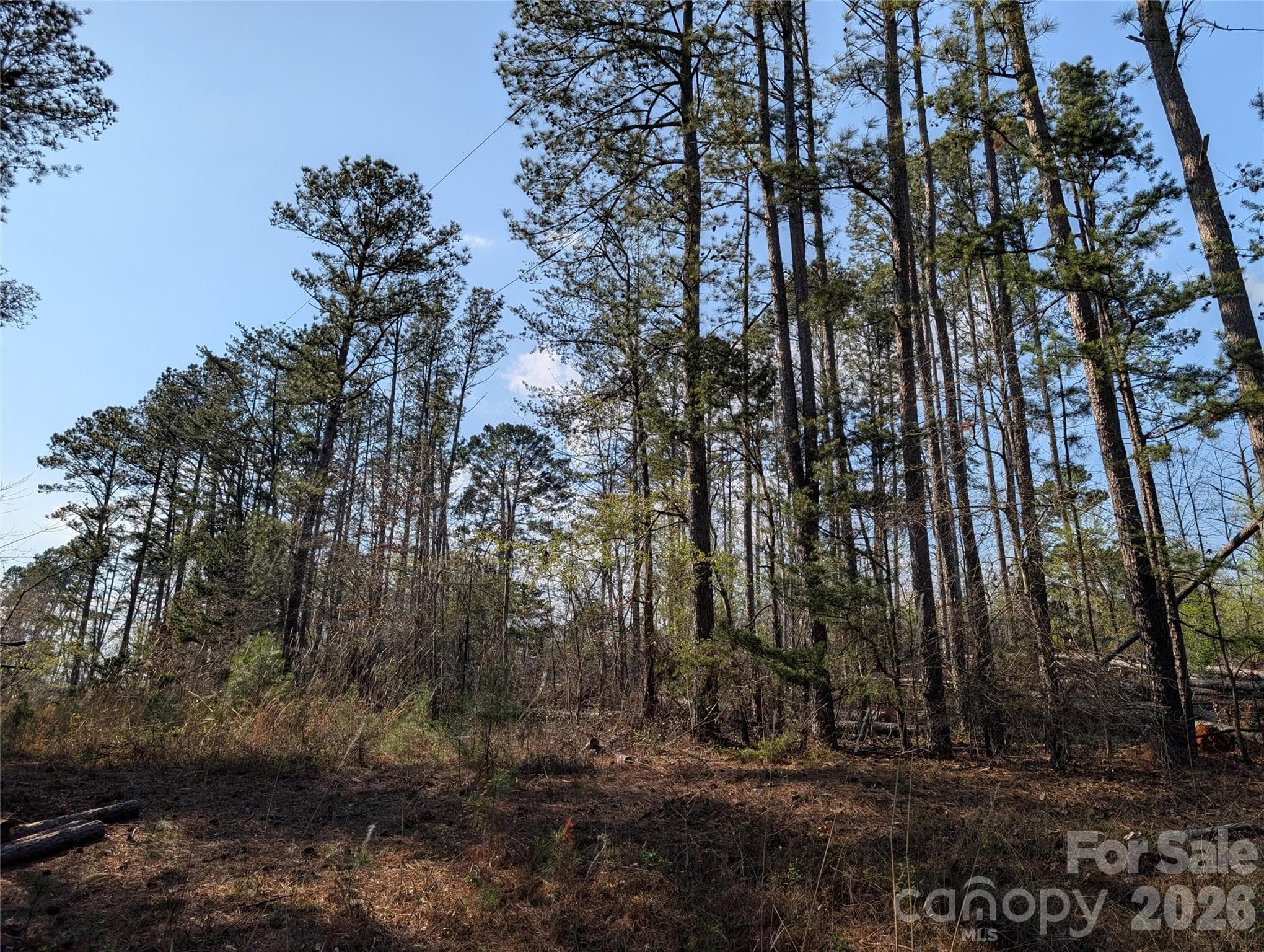 Lot at TBD Whitesides Road, Forest City, photo 4 of 4