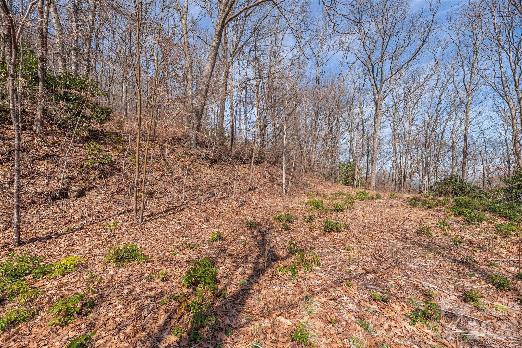 Lot at 00 Autumn Drive, Maggie Valley, photo 5 of 20
