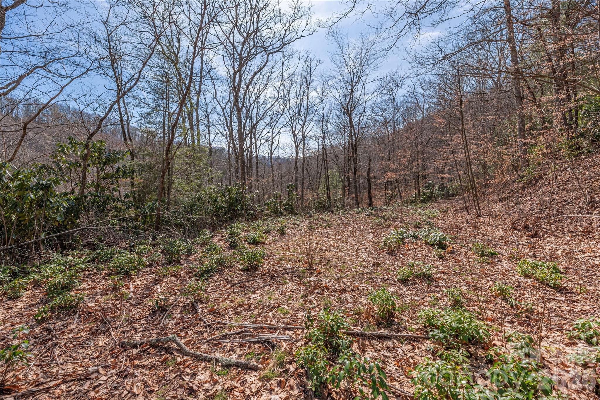 Lot at 00 Autumn Drive, Maggie Valley, photo 6 of 20