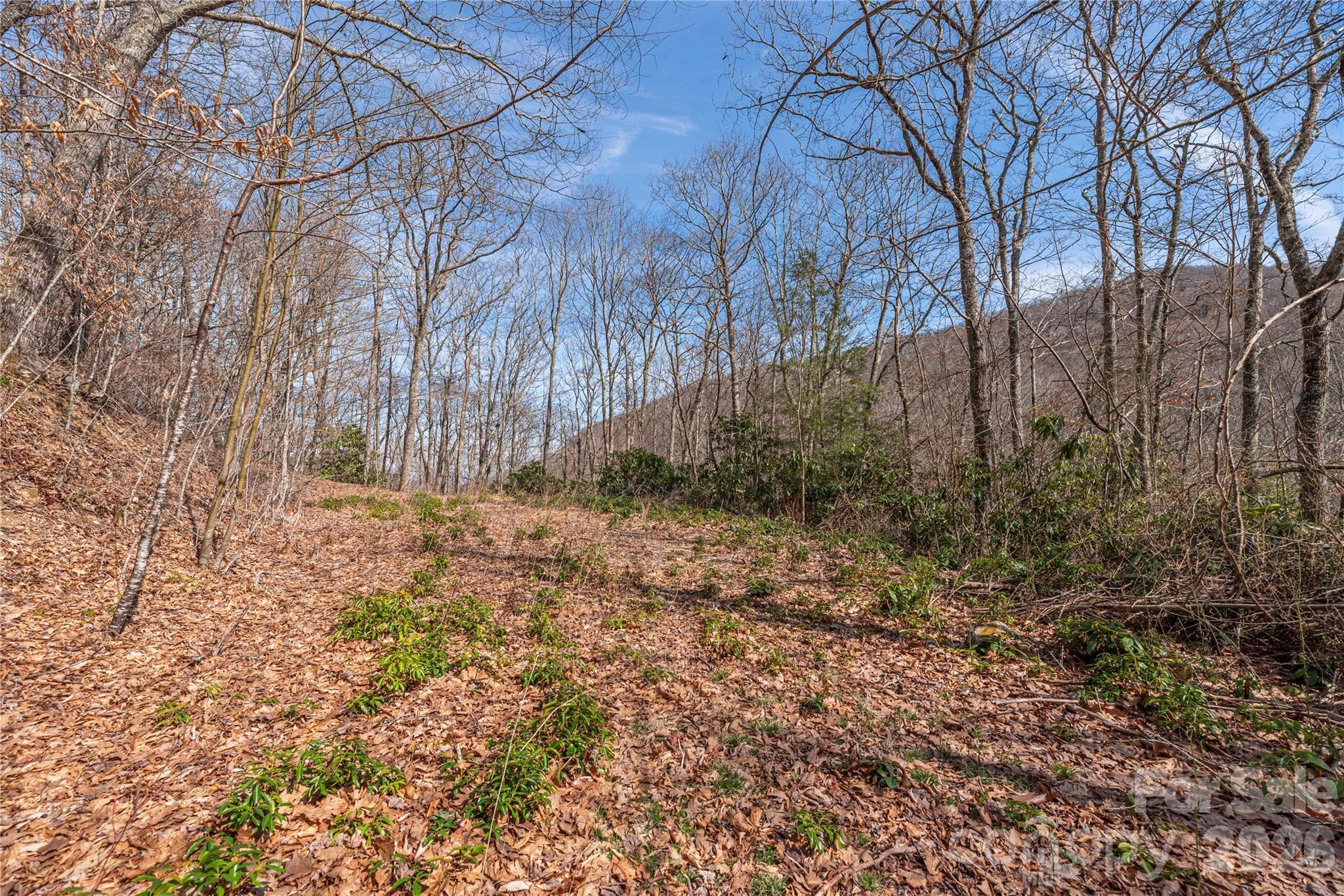 Lot at 00 Autumn Drive, Maggie Valley, photo 7 of 20