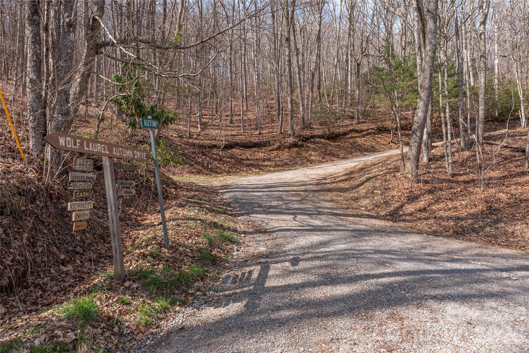 Lot at 00 Autumn Drive, Maggie Valley, photo 11 of 20